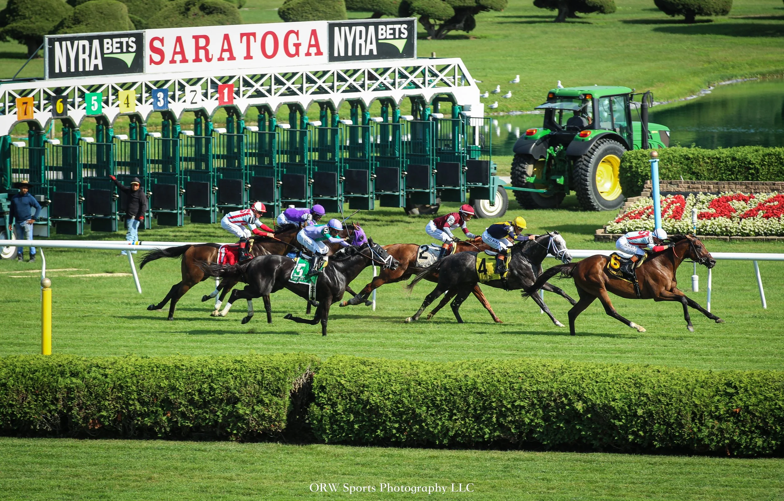 Race 7 