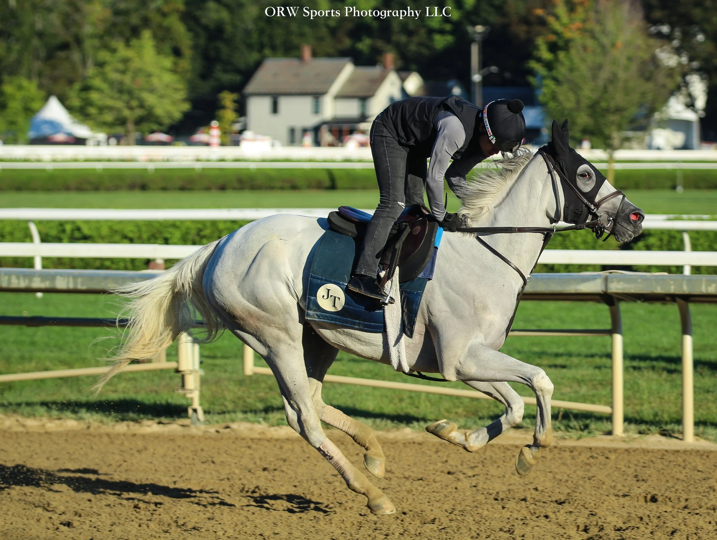 John Terranova Trainee 