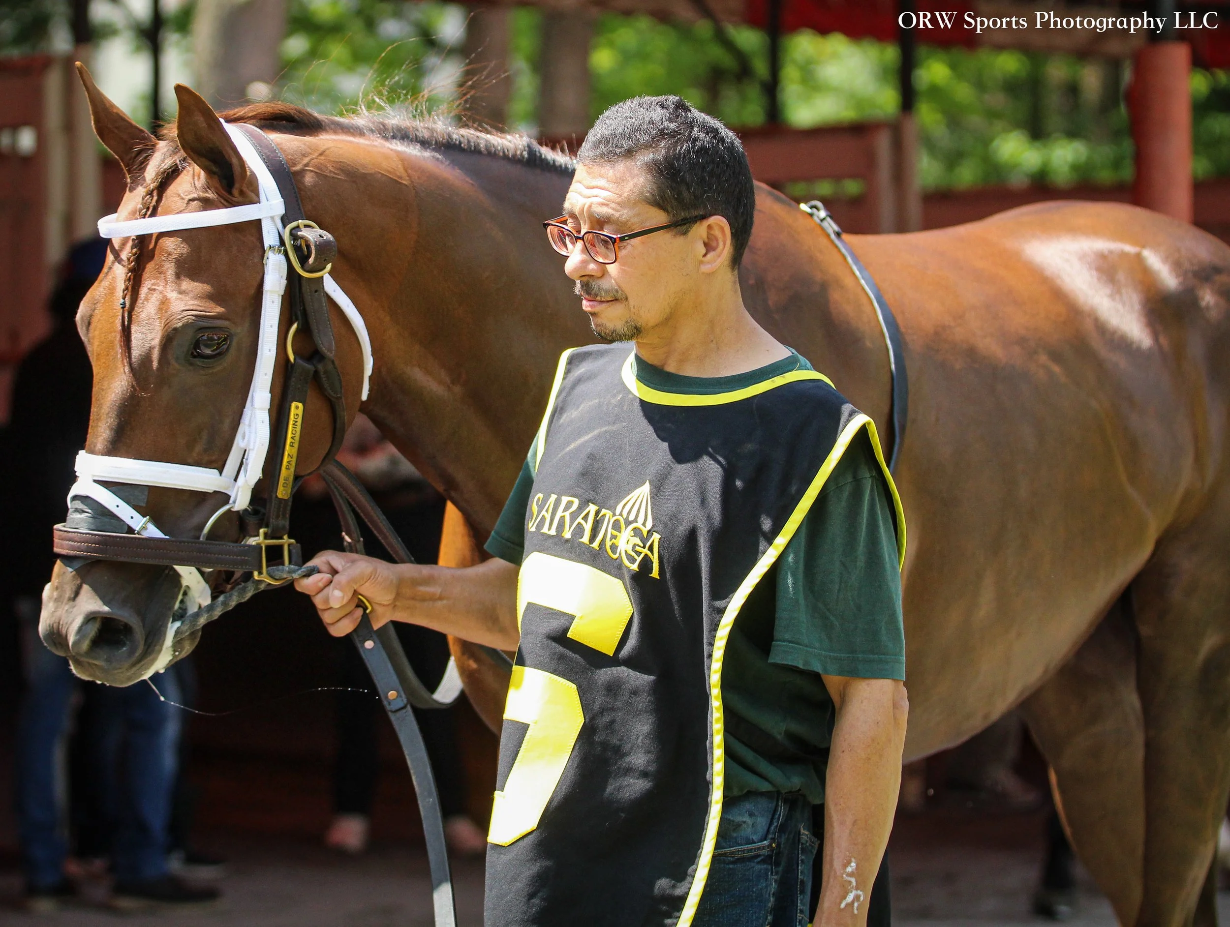 Sea Singer 