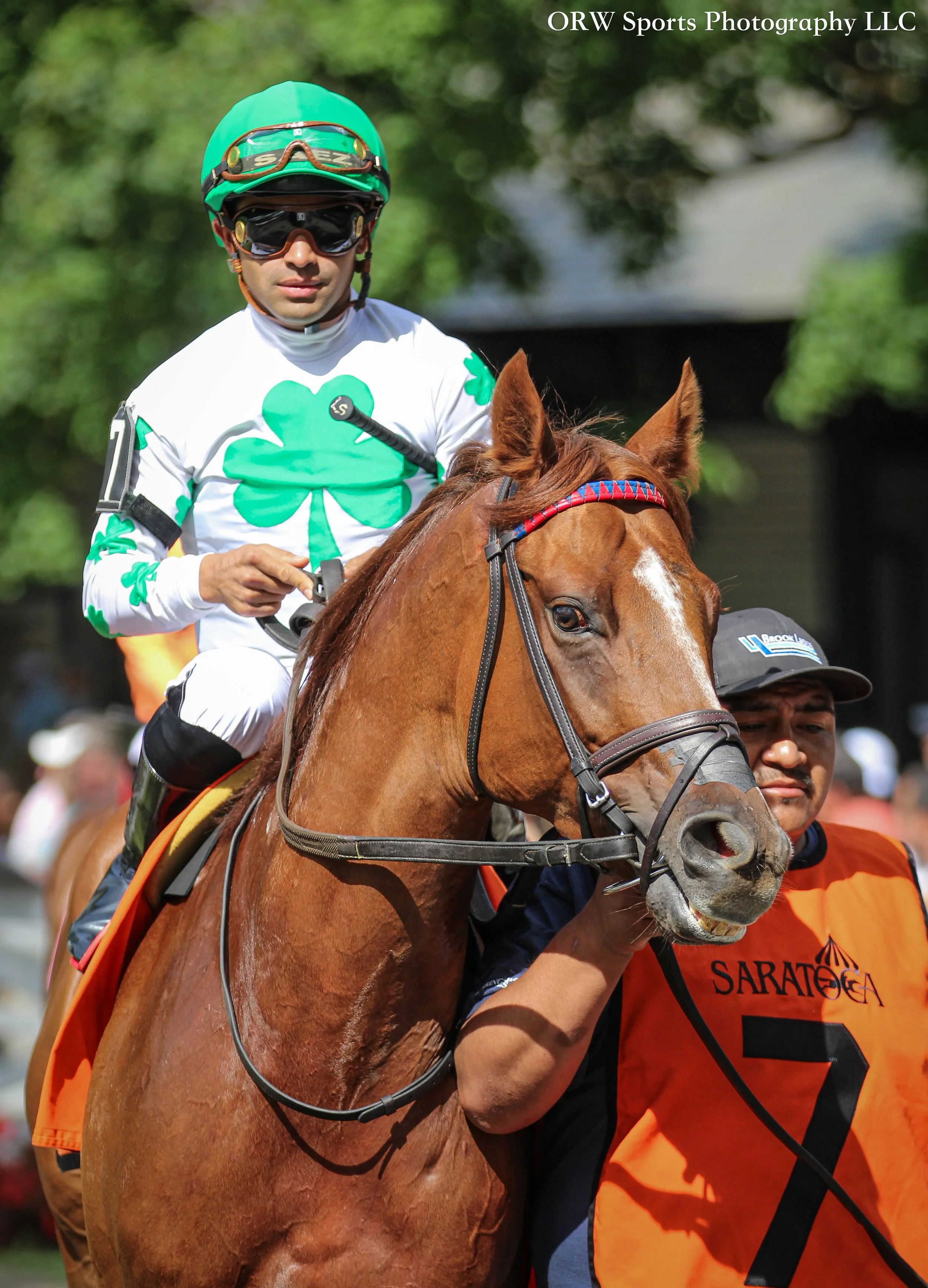 End of Romance and Luis Saez 
