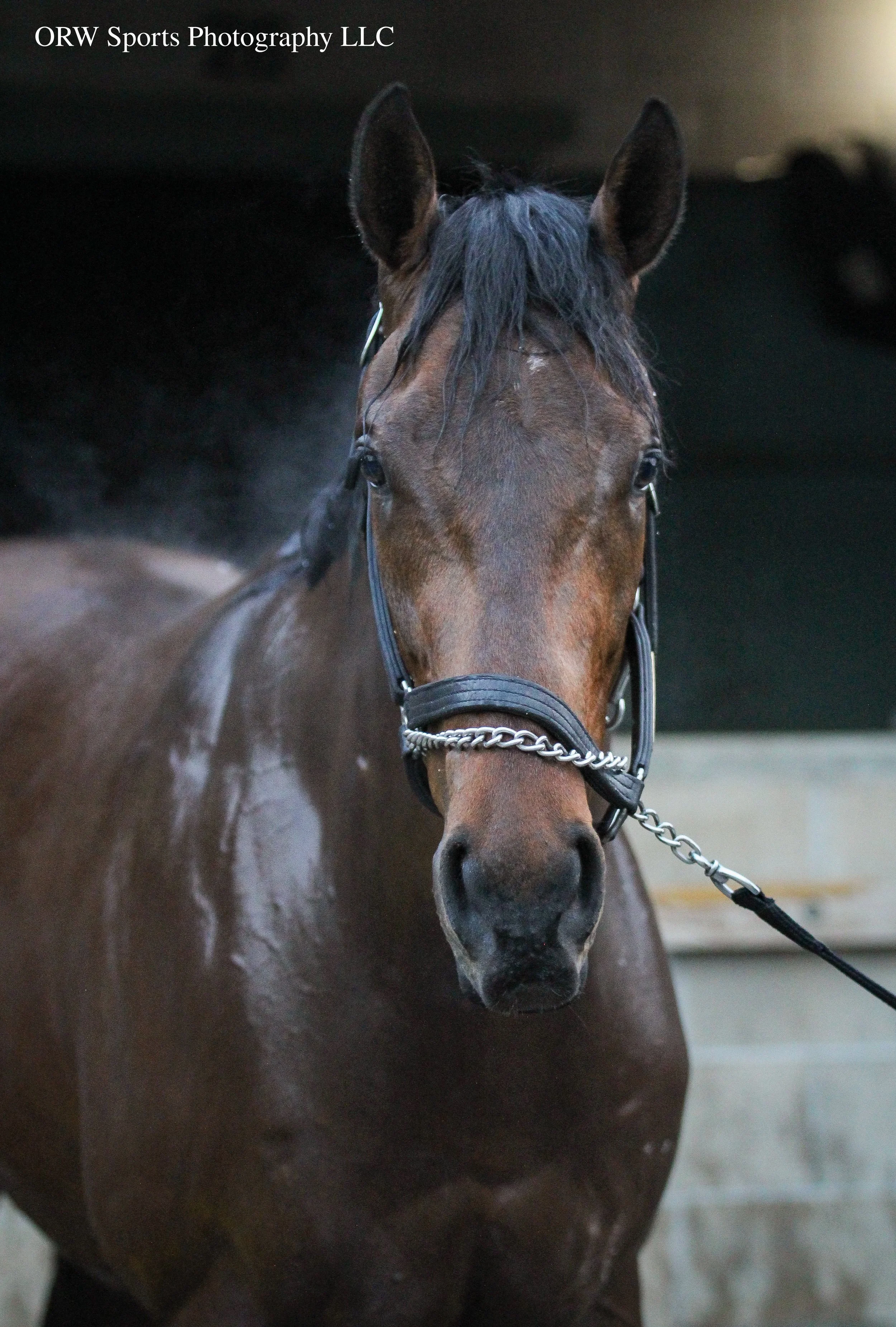 Two Seven O - trained by David Fawkes 