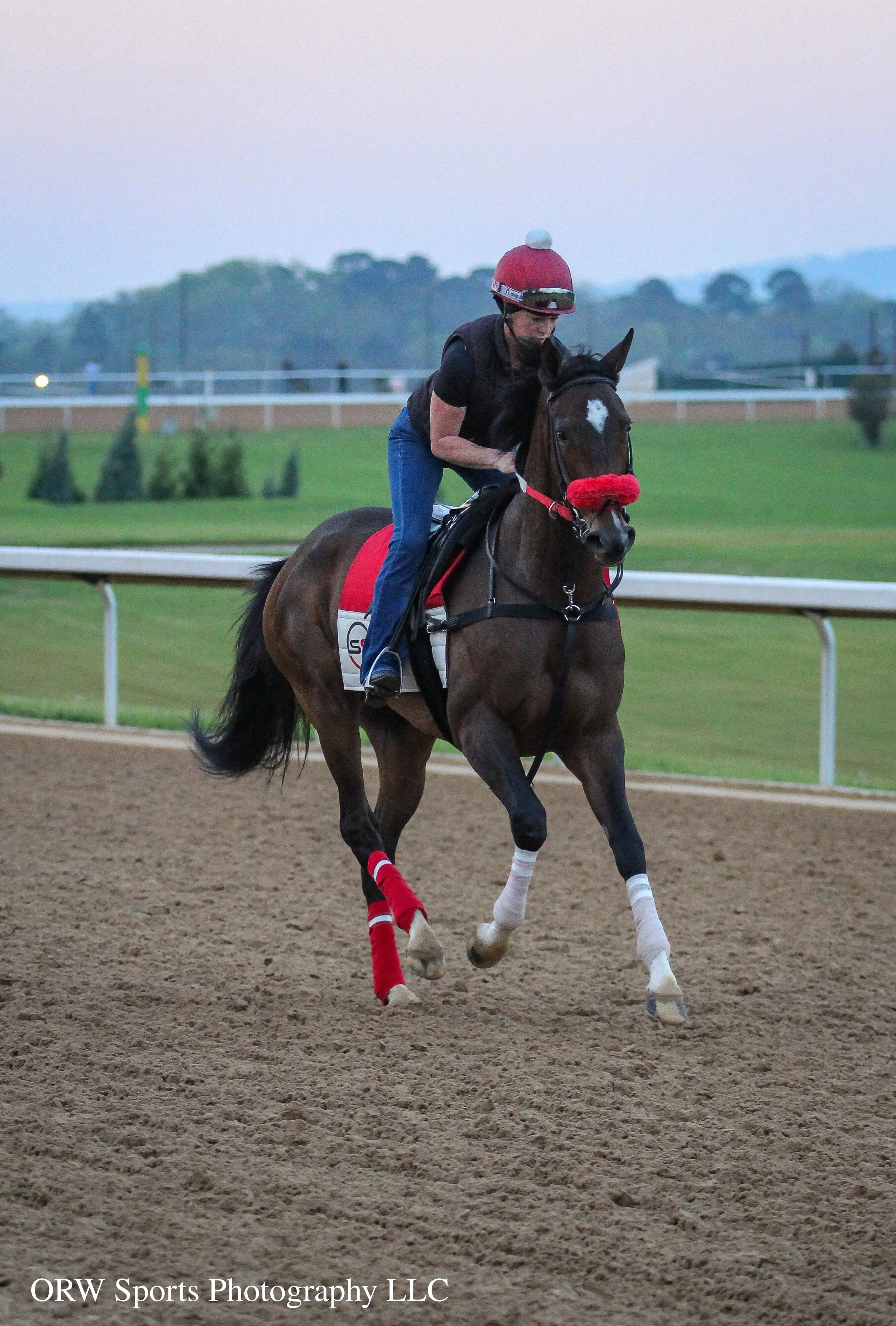 McKinzie's Glory - trained by Sarah Shaffer. I last photographed this horse during the summer when she was then trained by Kenny McPeek 