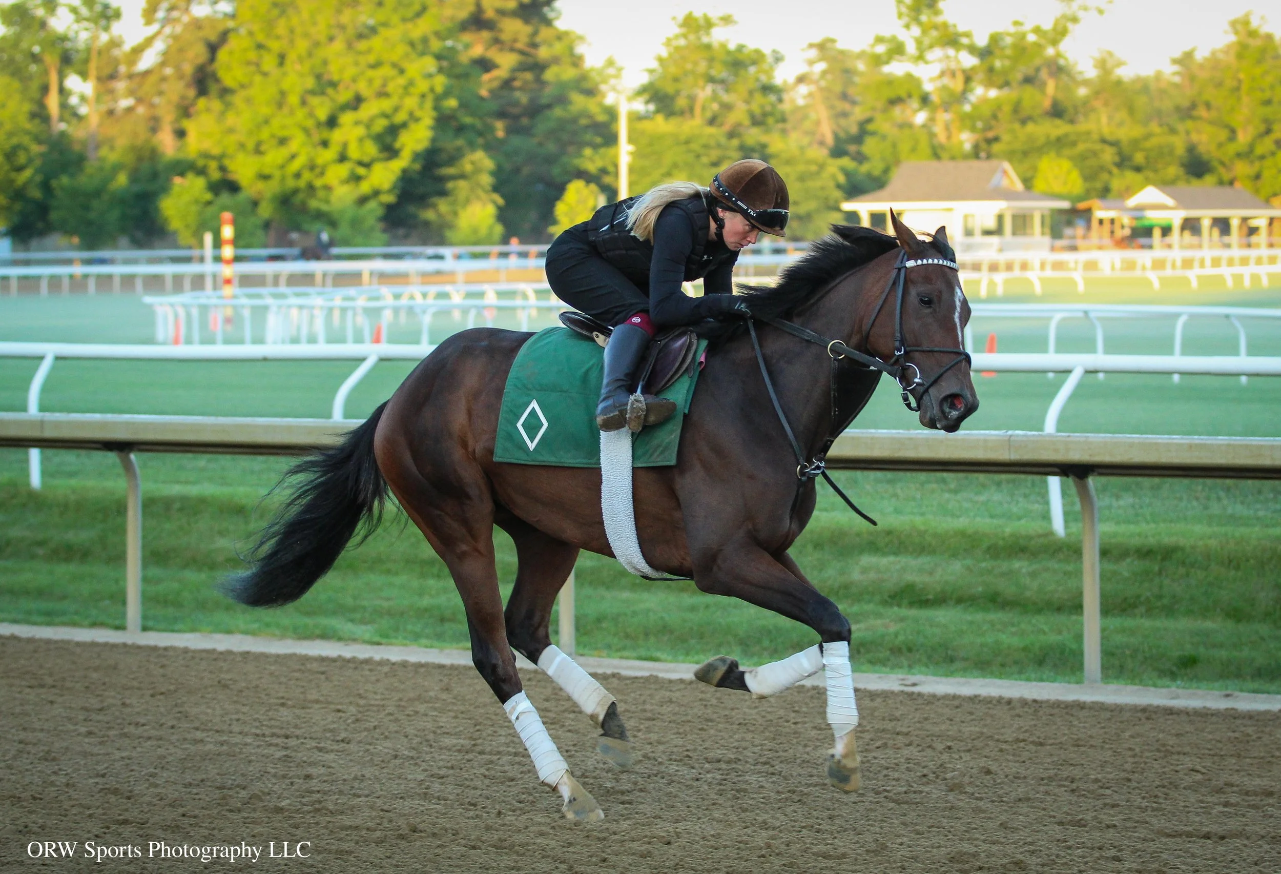 Gezora training ahead of her next start in the Grade 2 Wonder Again Stakes