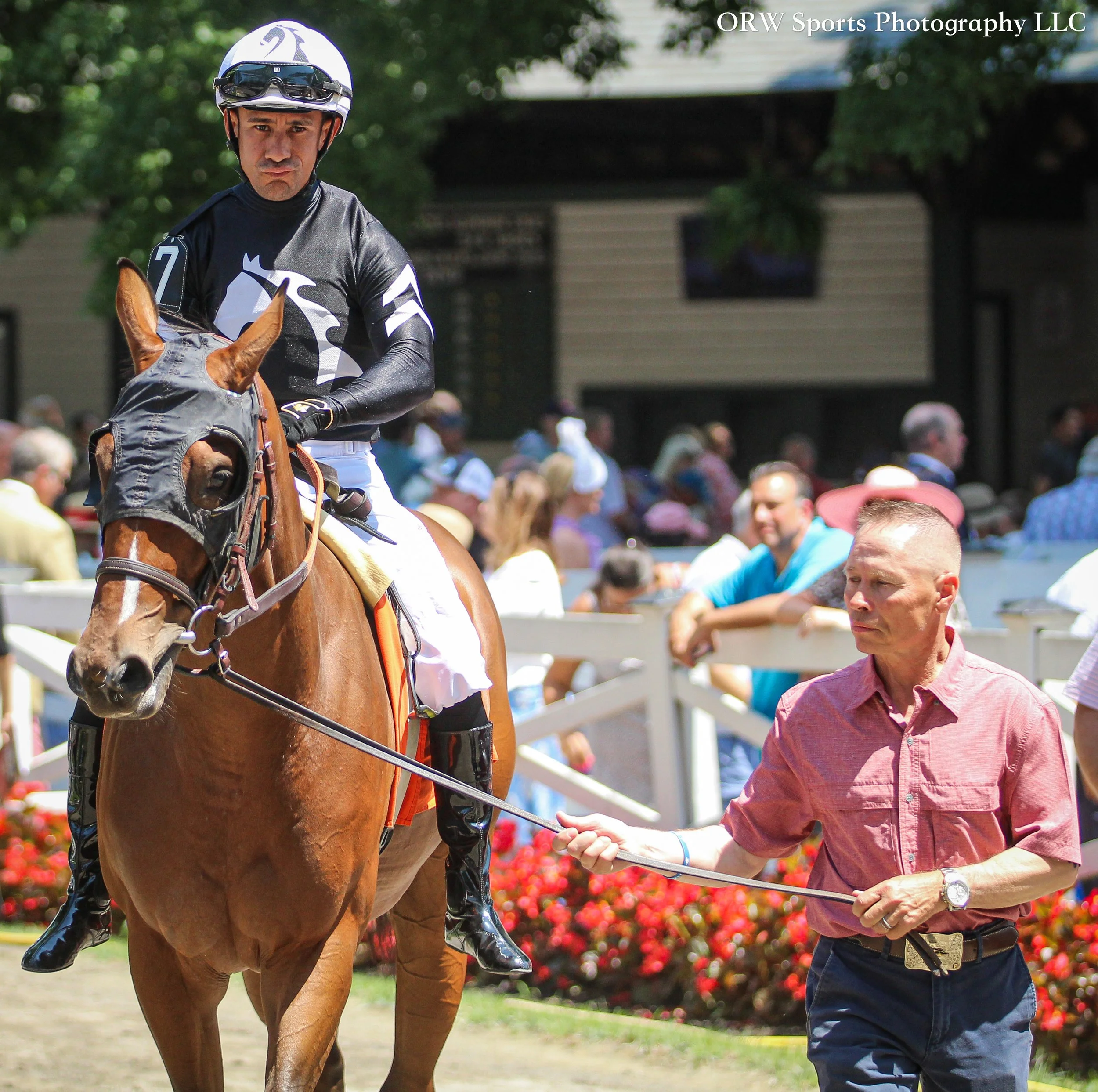 Elevated and Junior Alvarado