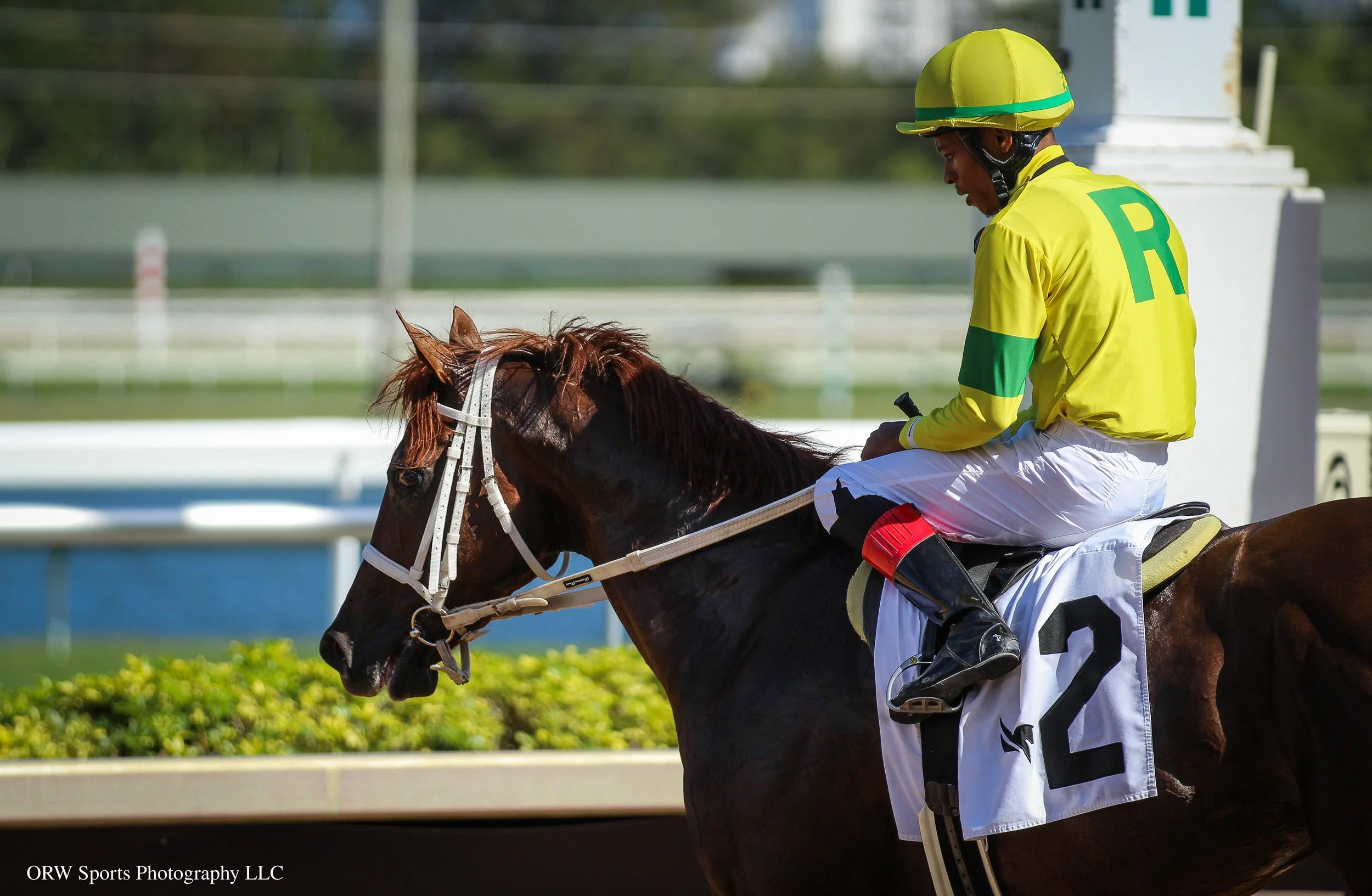 Ababajoni and Anthony Thomas (3).jpg