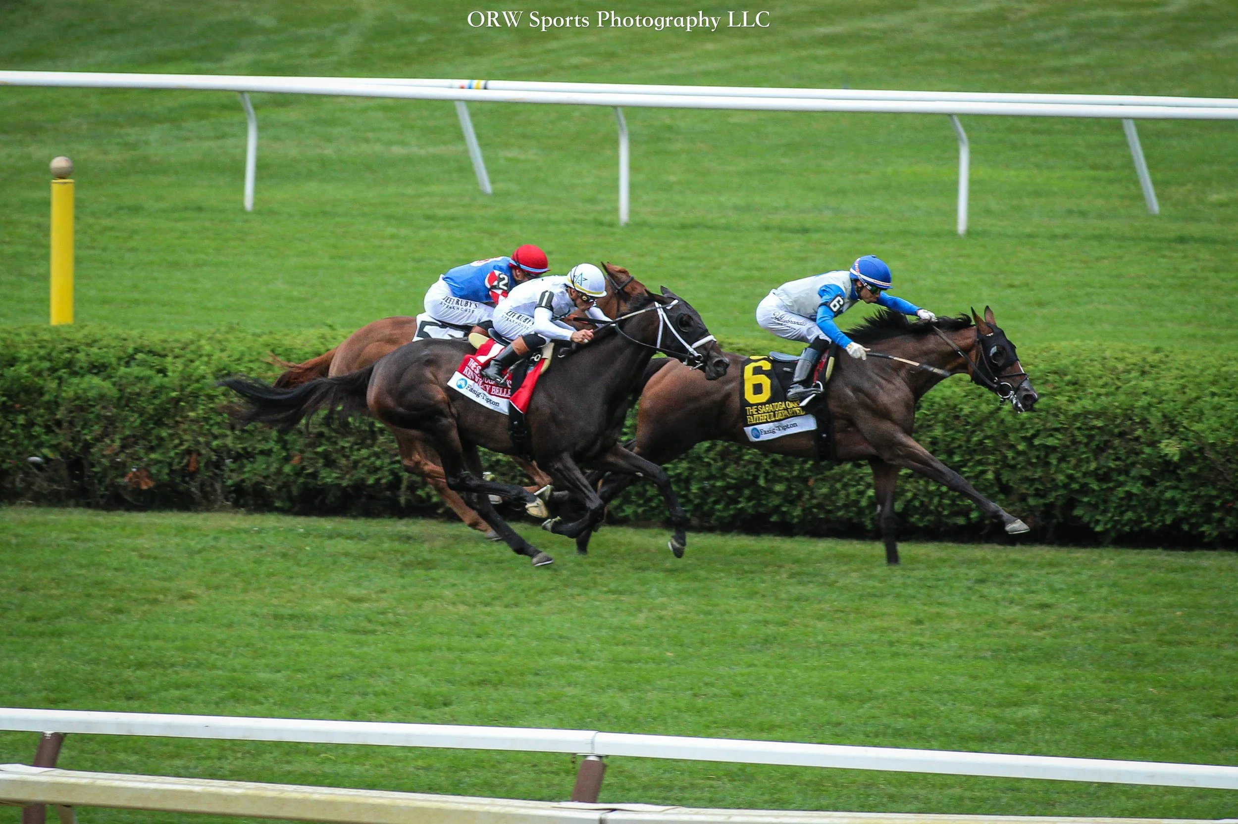Kentucky Belle goes after race-favorite Faithful Departed 
