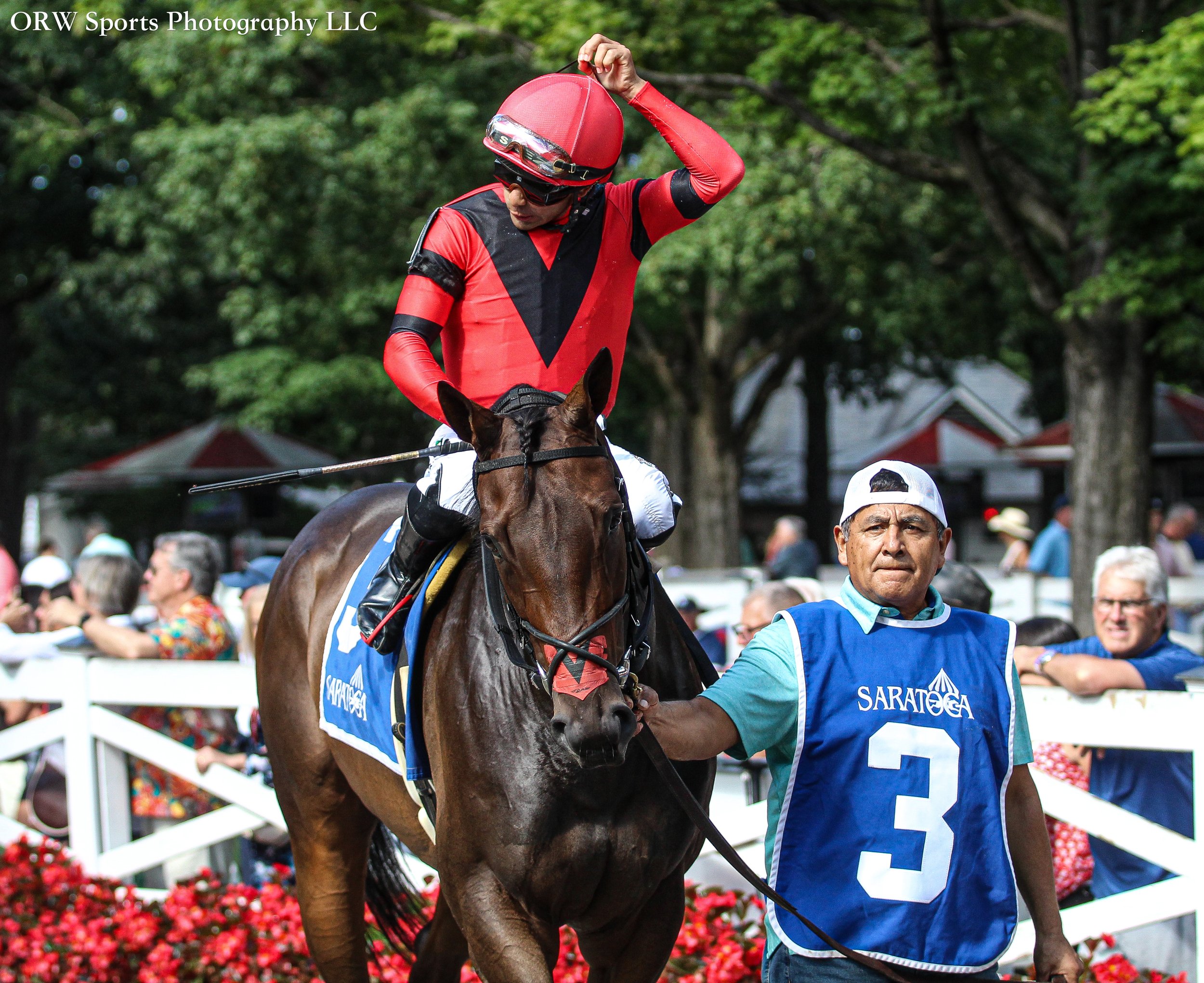 Discotheque and Luis Saez 