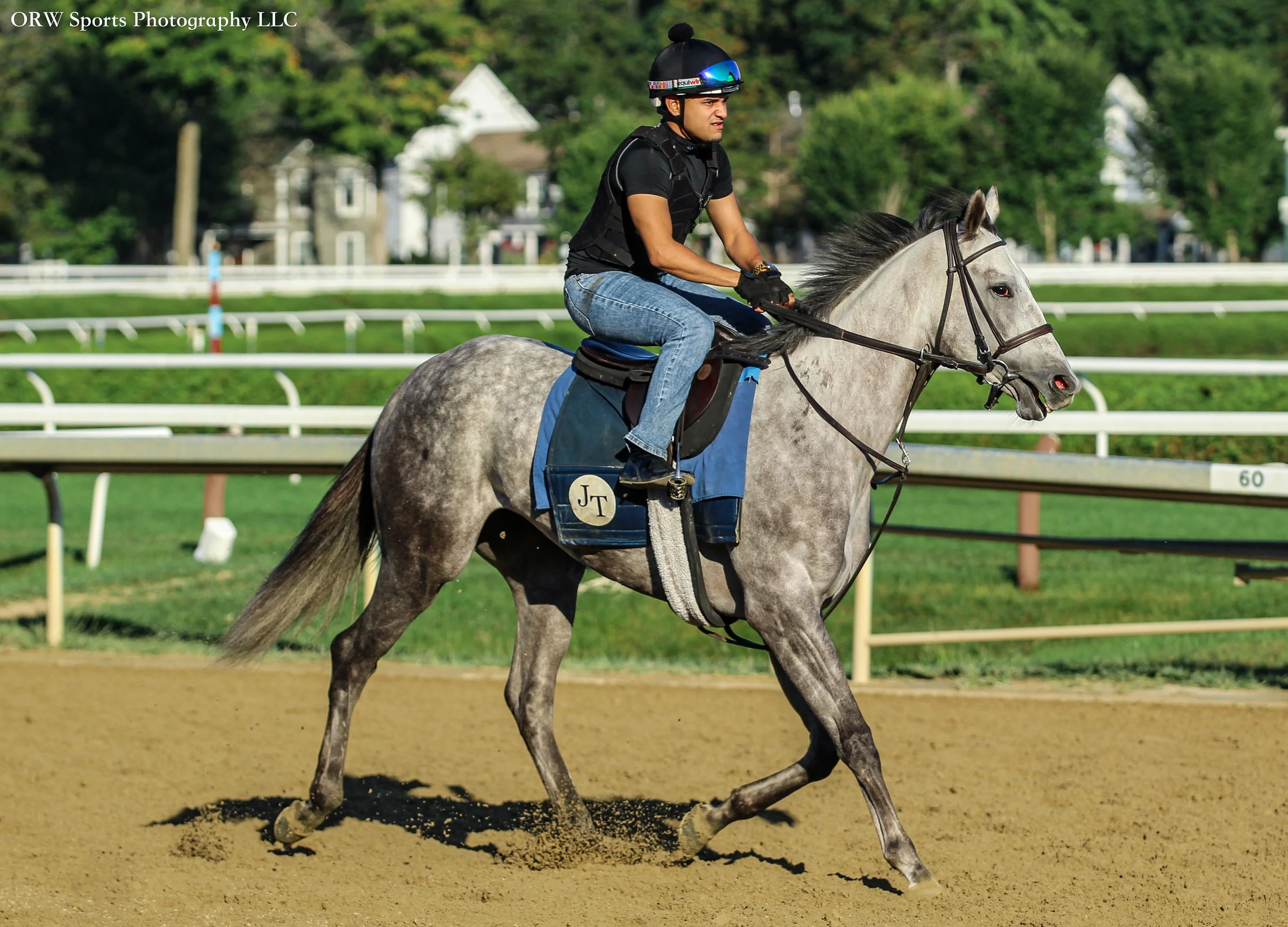 John Terranova Trainee