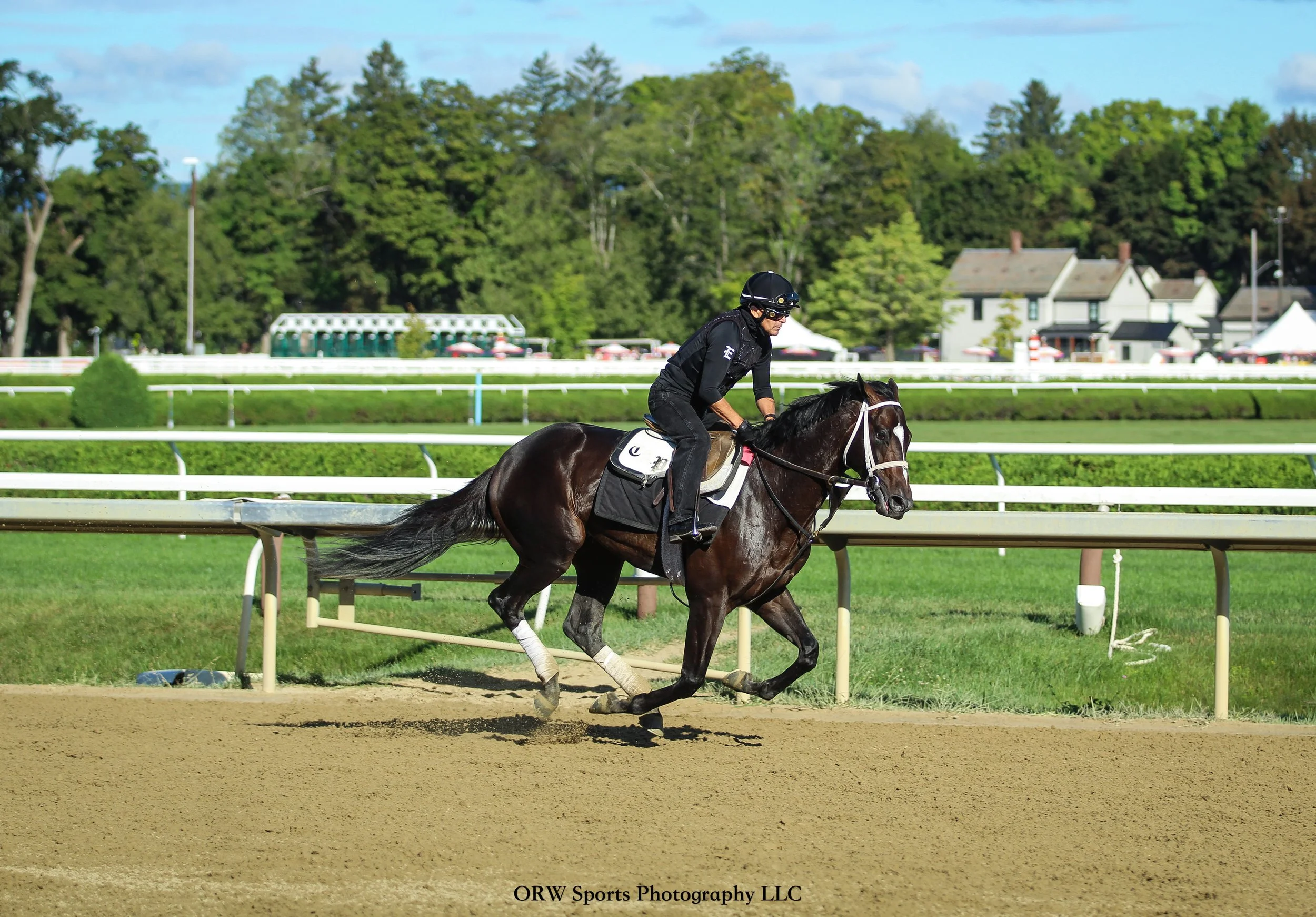 Todd Pletcher Trainee 