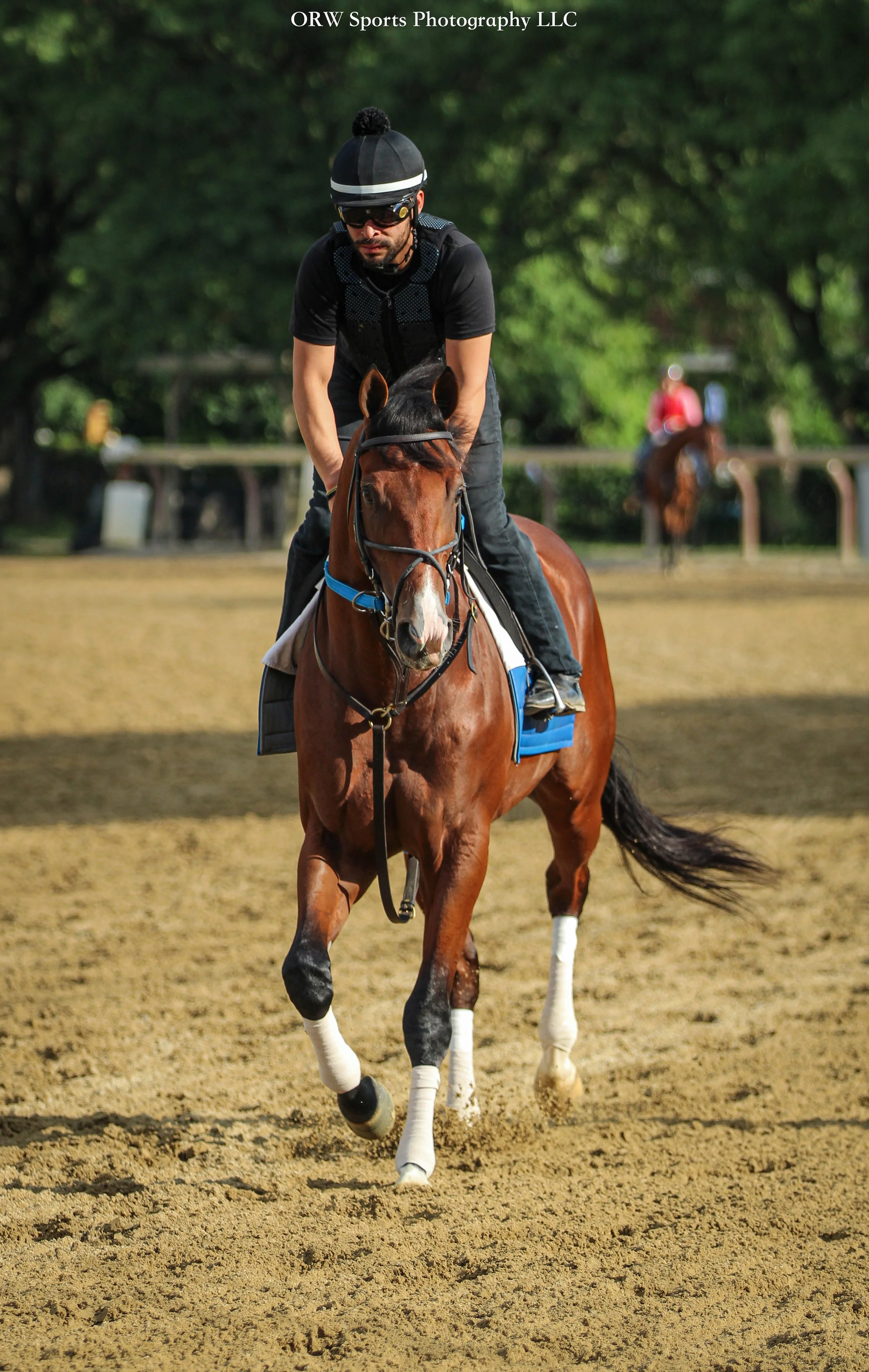 Steve Asmussen Trainee