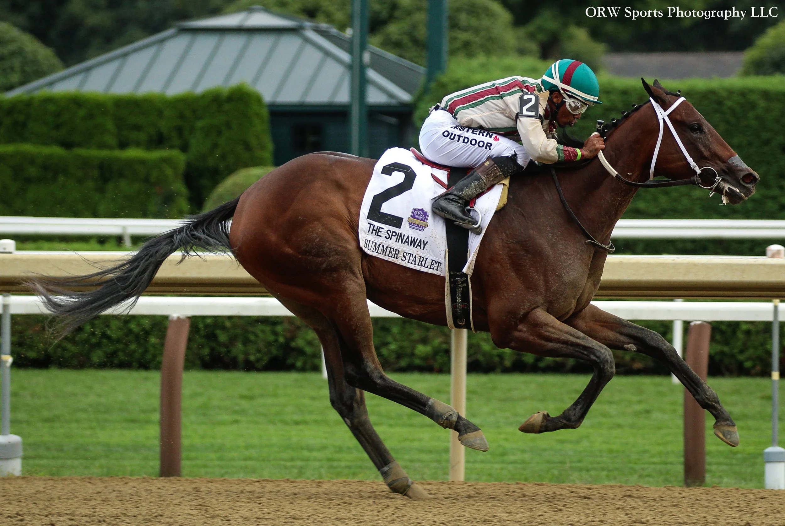 Summer Starlet takes the Grade 1 Spinaway Stakes 