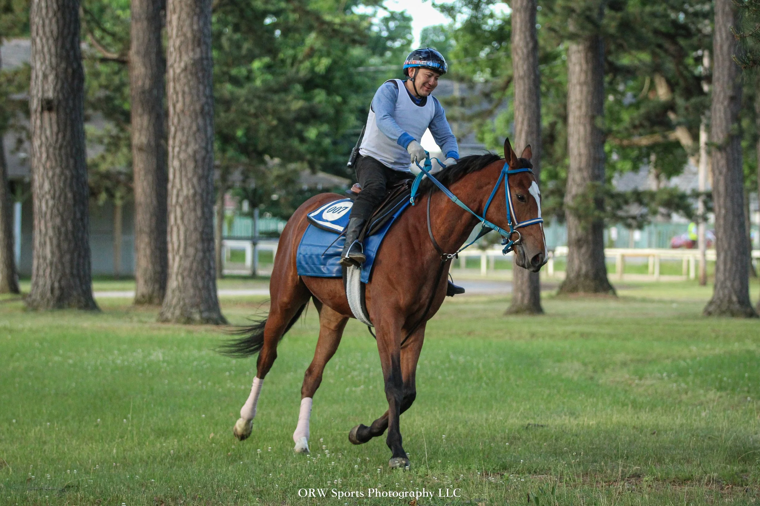 Tiz Justice 
