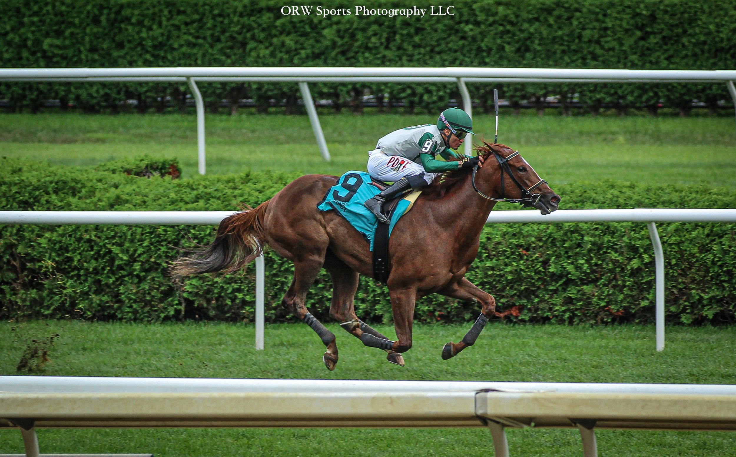 Gold Fashioned and Jose Morelos 