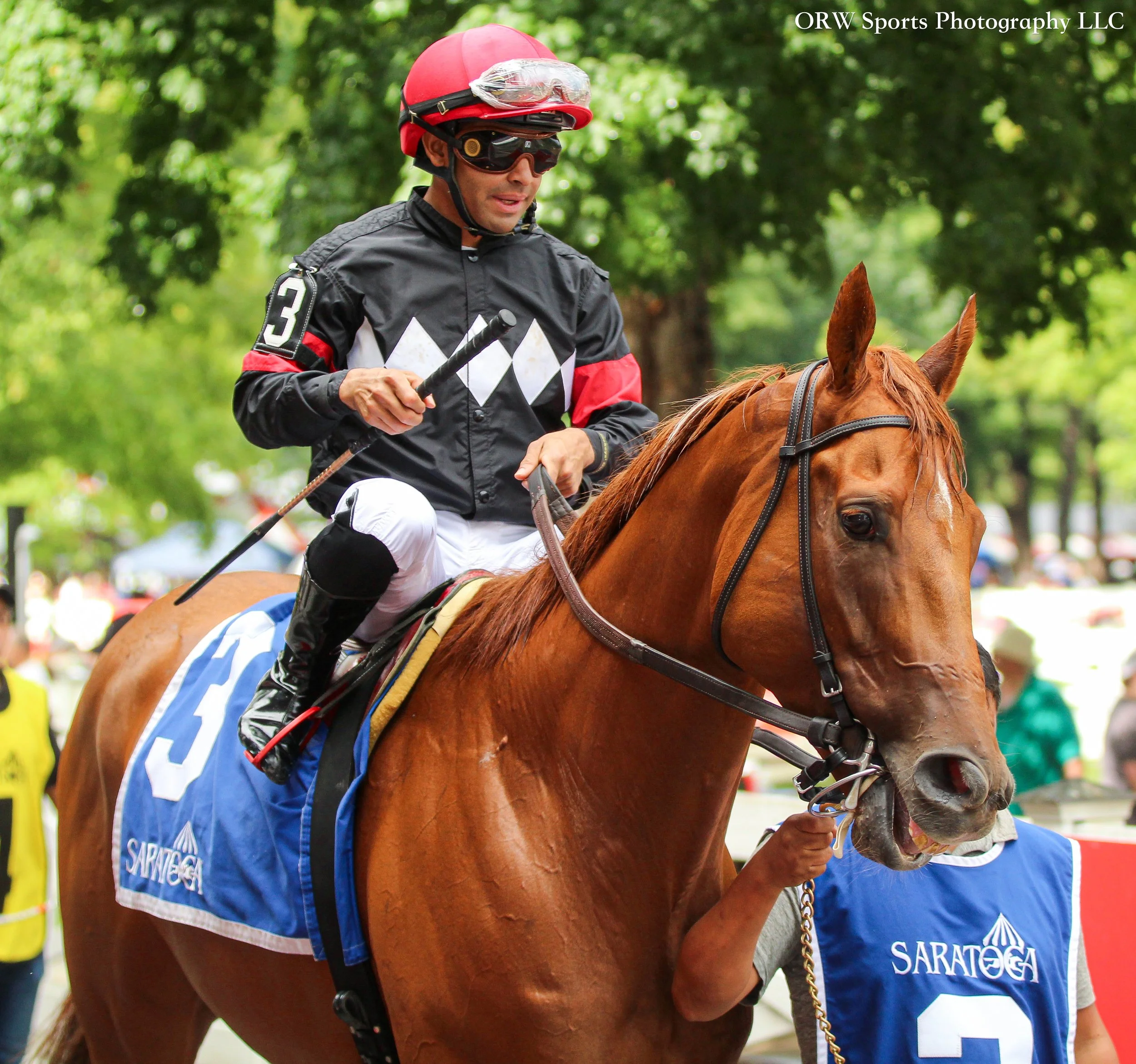 Alder and Luis Saez 