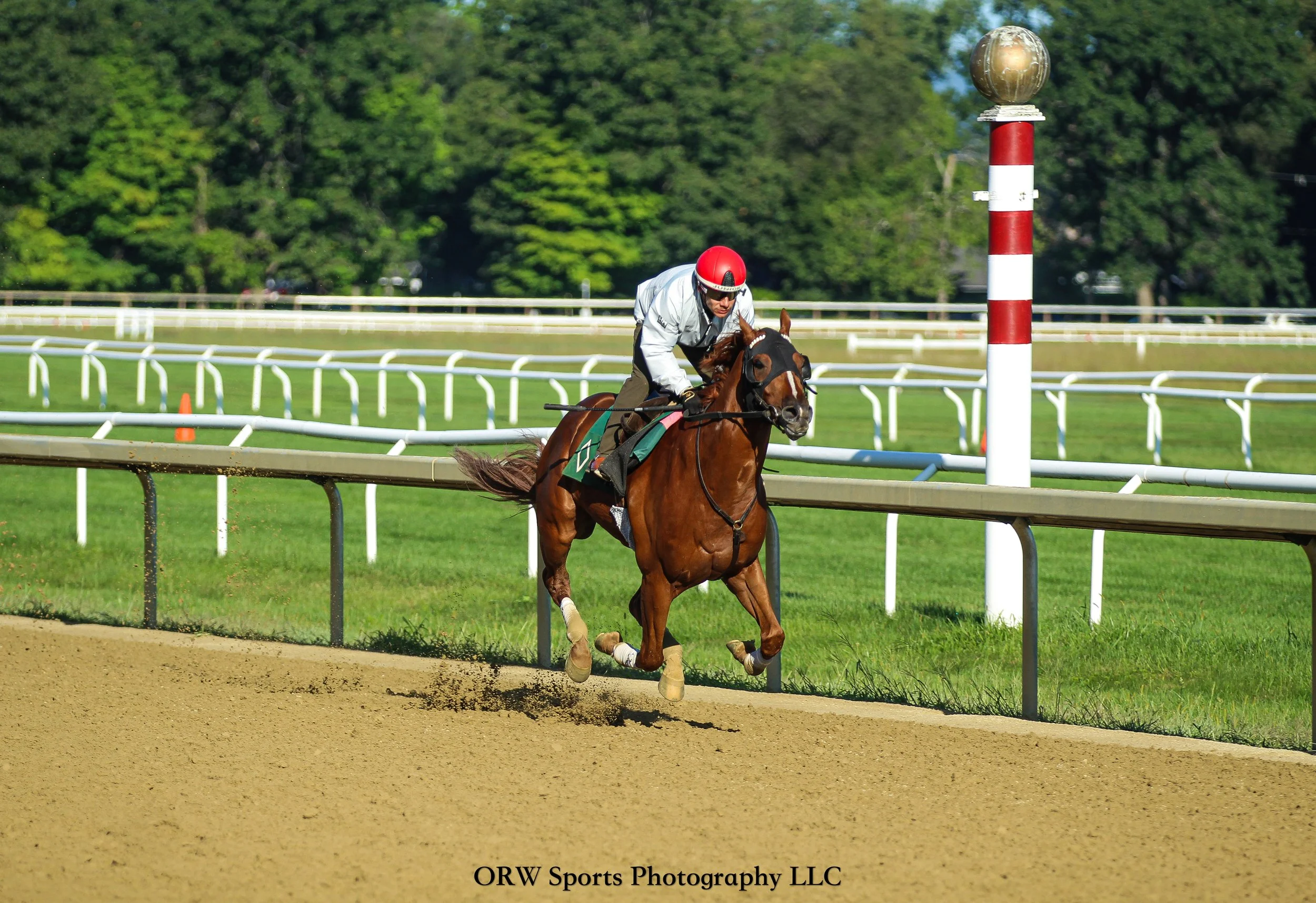 Gilded Bandit and Junior Alvarado (2) .jpg