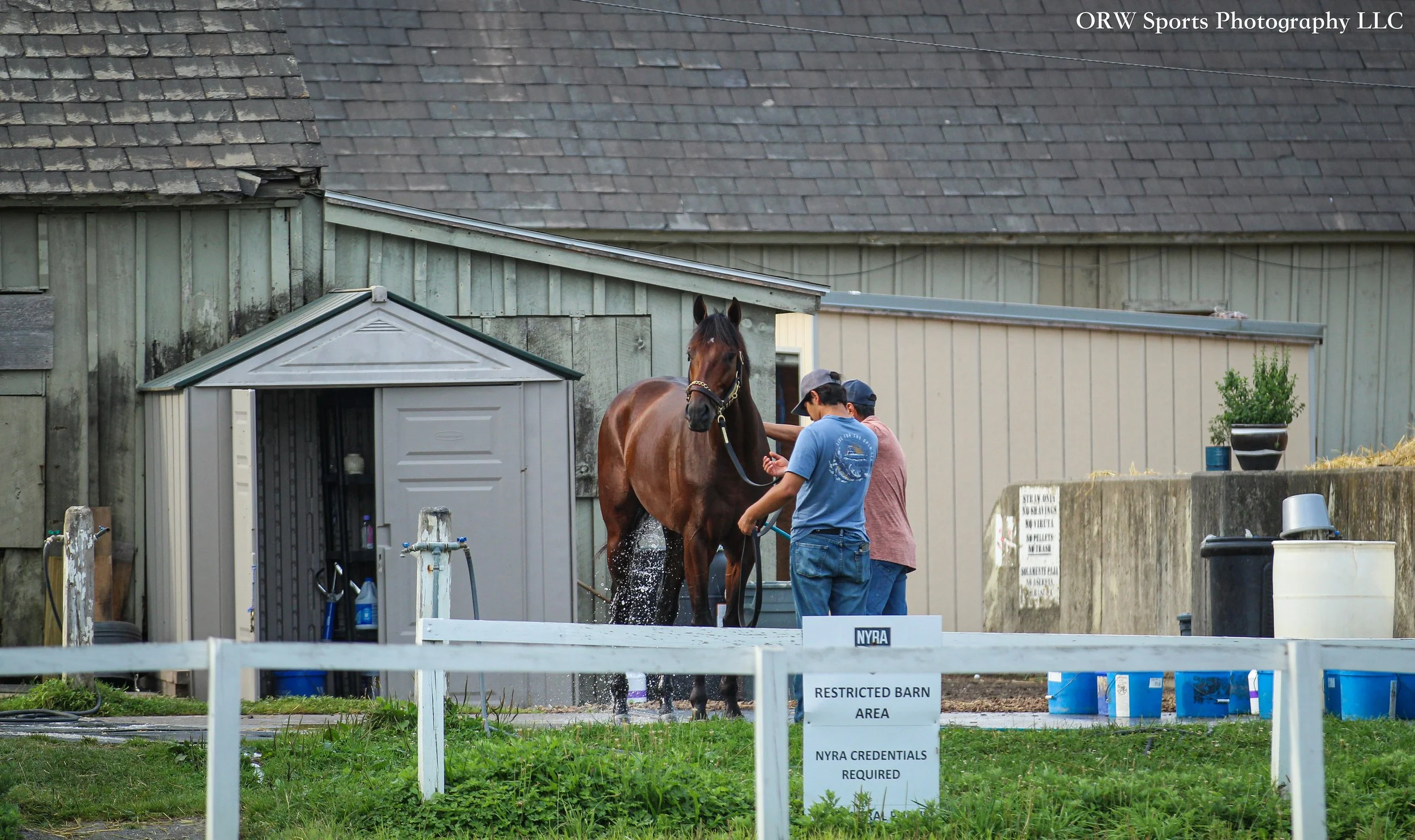 Pletcher Trainee.jpg