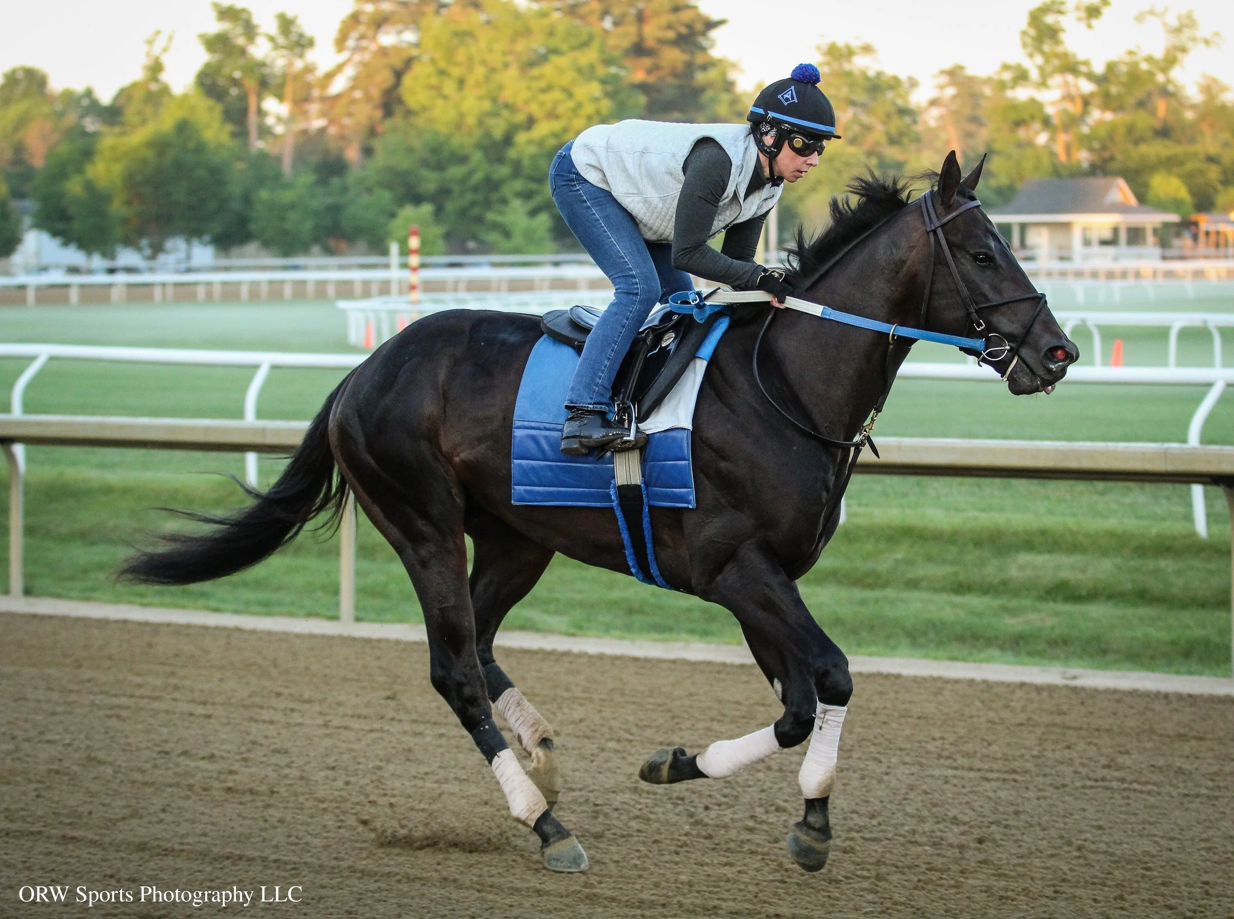 Steve Asmussen Trainees