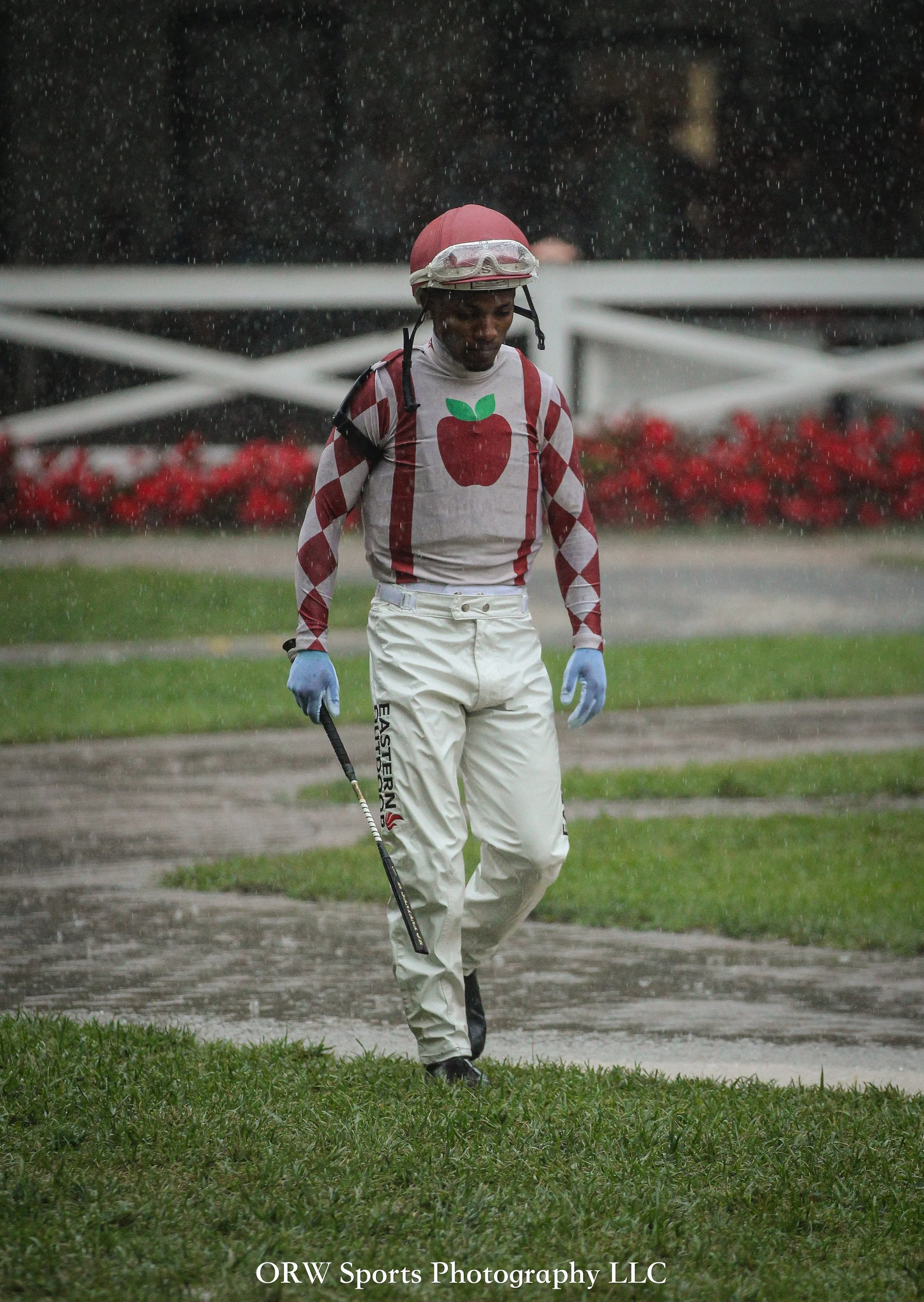Ricardo Santana Jr {Bridlewood Farm} 