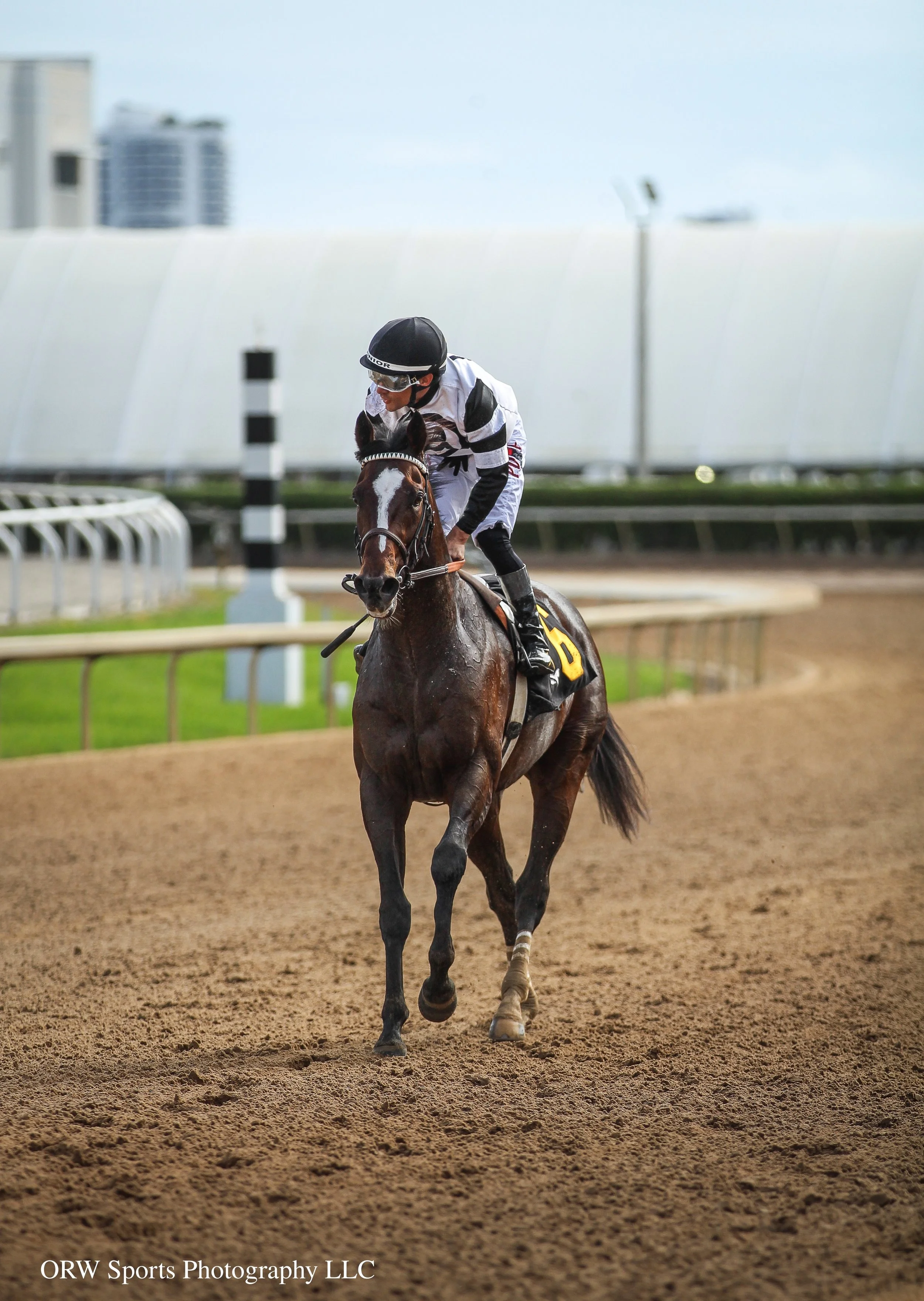 Chief Wallabee and Junior Alvarado (10).jpg