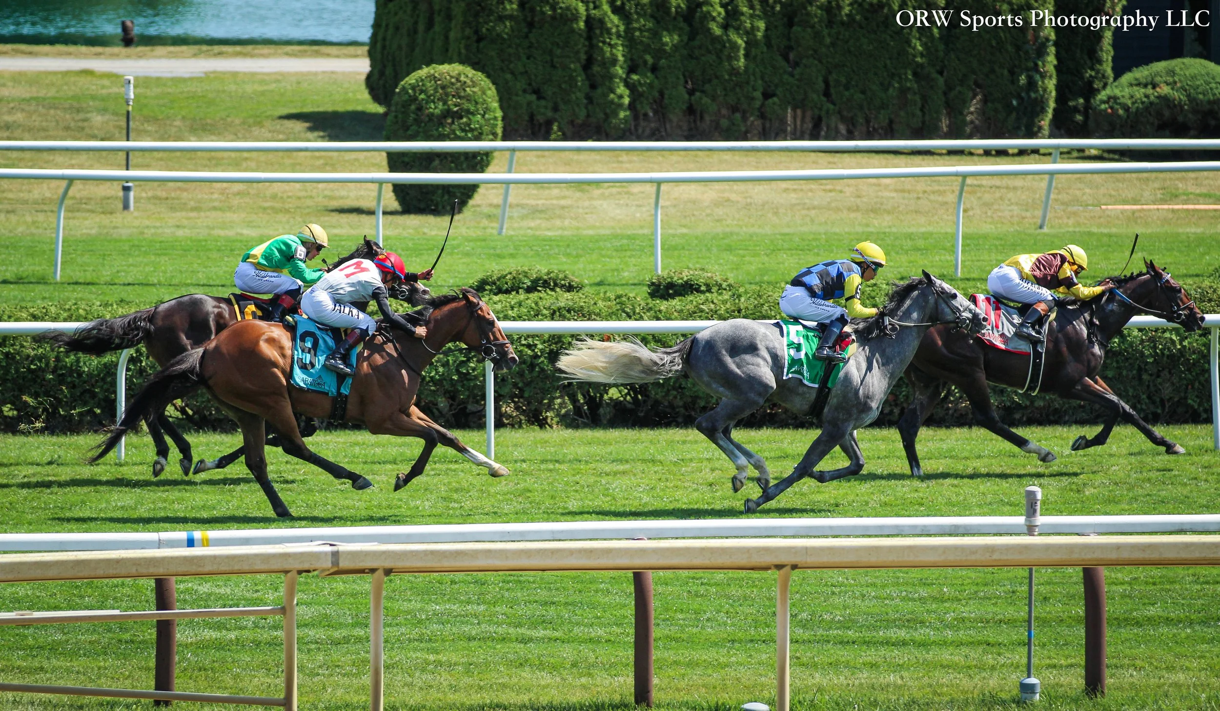 Chambersville takes race 5 from Go Grey and Tiz Trouble