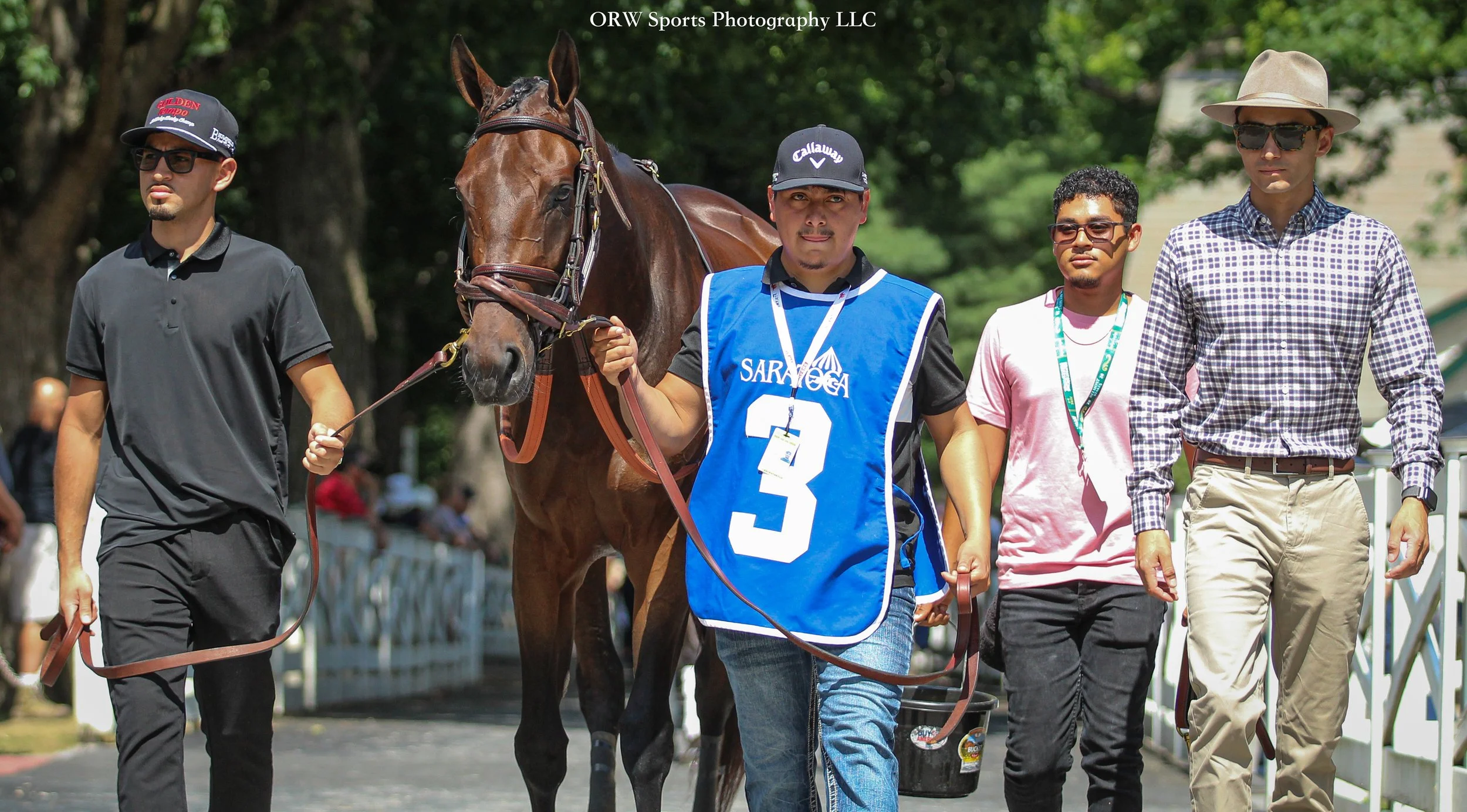 Soaring High. She is a regally bred filly by Curlin out of Songbird. Both are Eclipse Champions and Multiple Graded Stakes winners, respectively. 