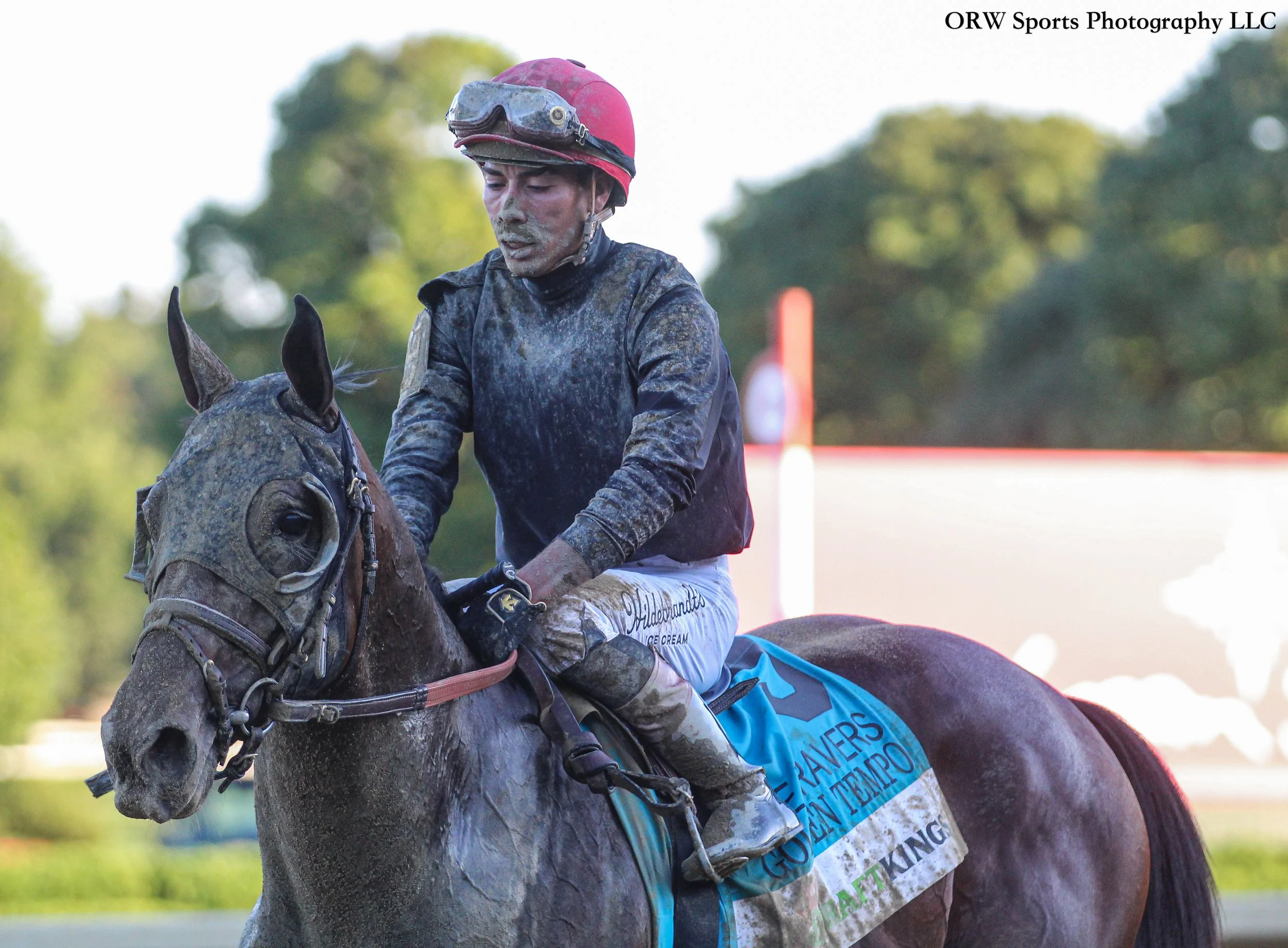 Golden Tempo and Jose Ortiz .jpg
