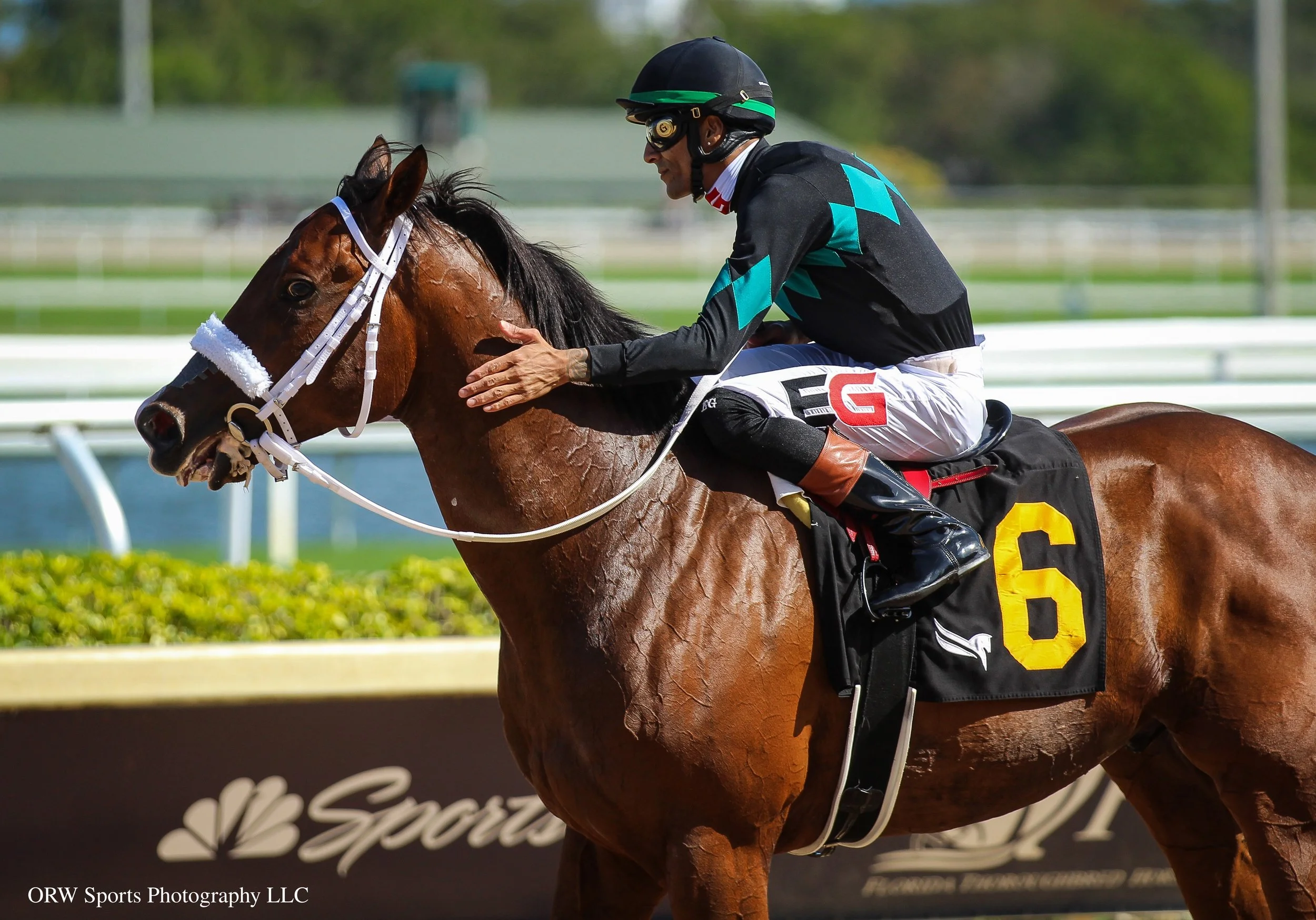 Speed Figures and Edwin Gonzalez (7).jpg