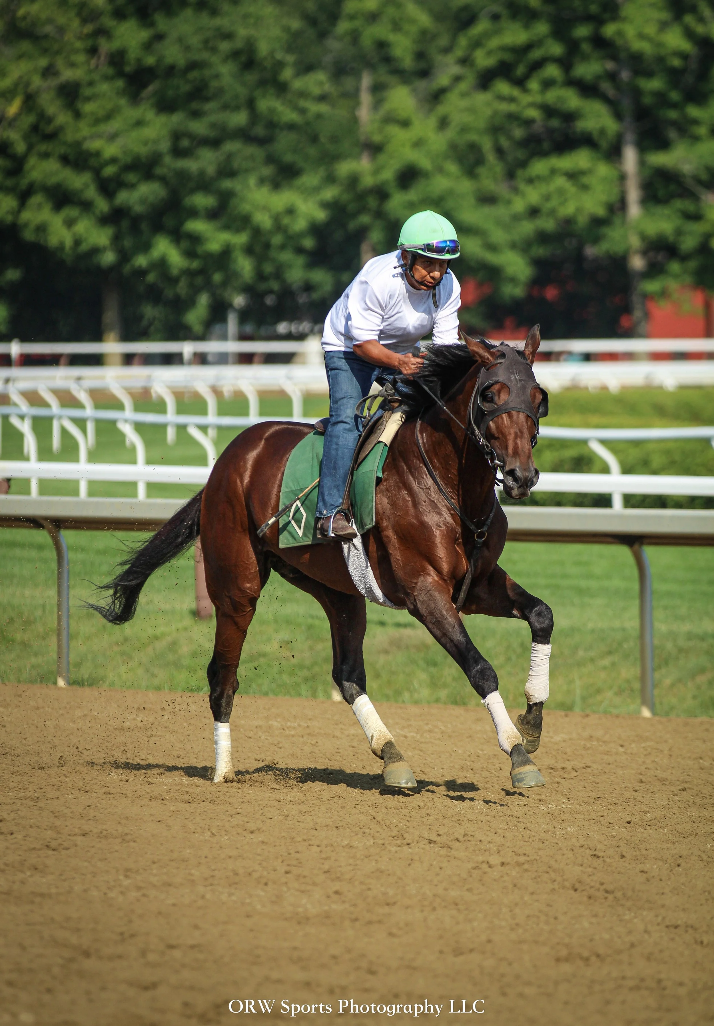 Bill Mott Trainee