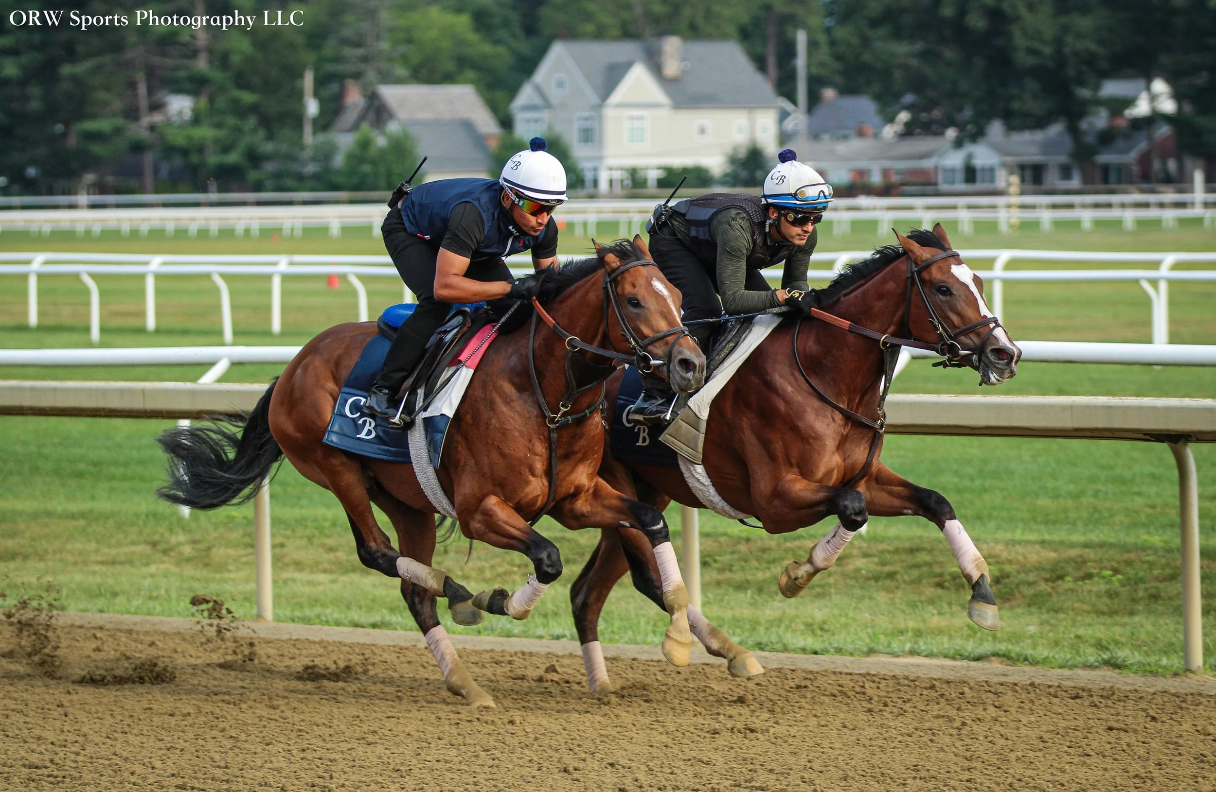 Chad Brown trainees.