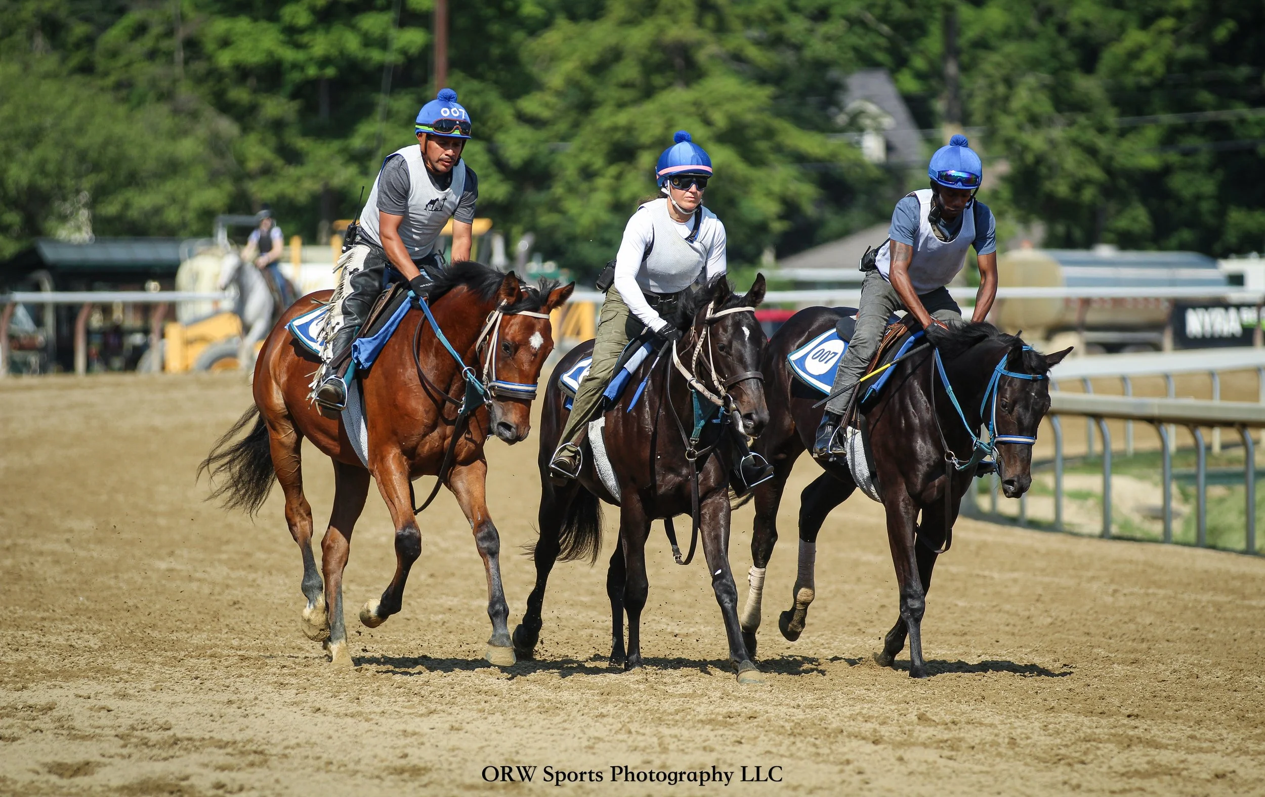 Way Smart ’24, Colore, and Grattamaco 