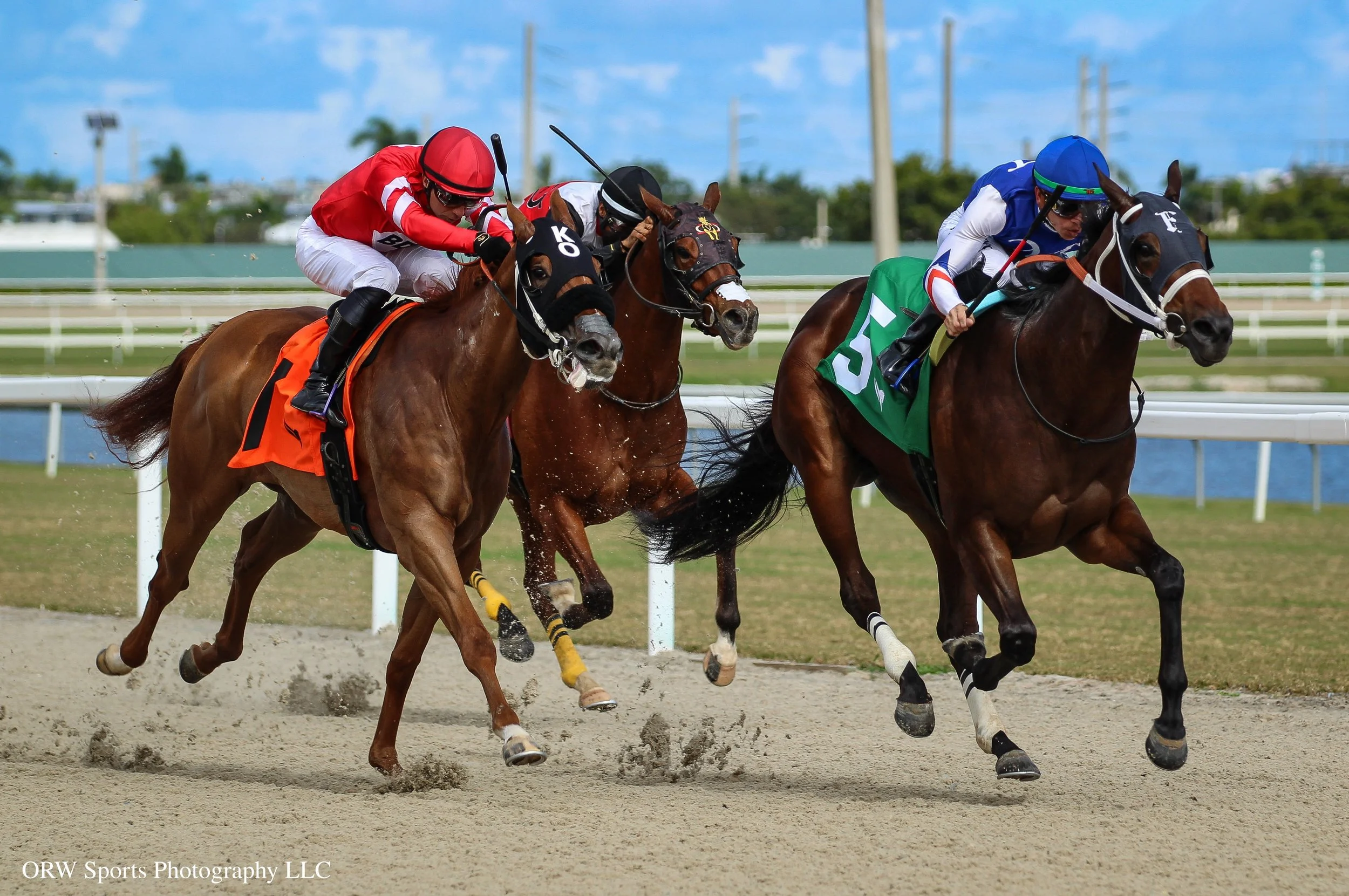 Bella's Breeze vs Magic Colors 