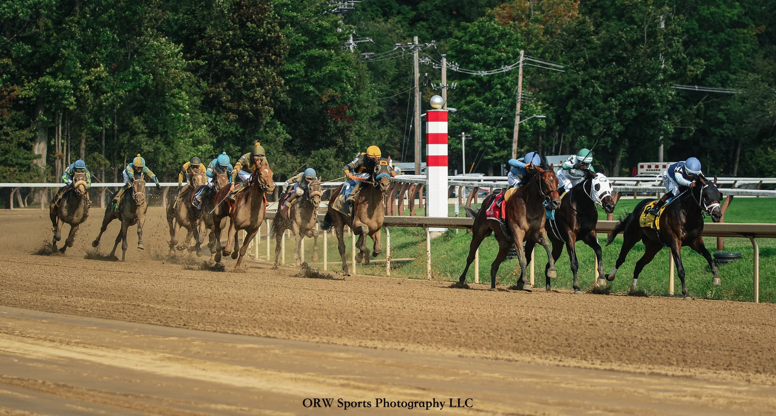 Race 7 