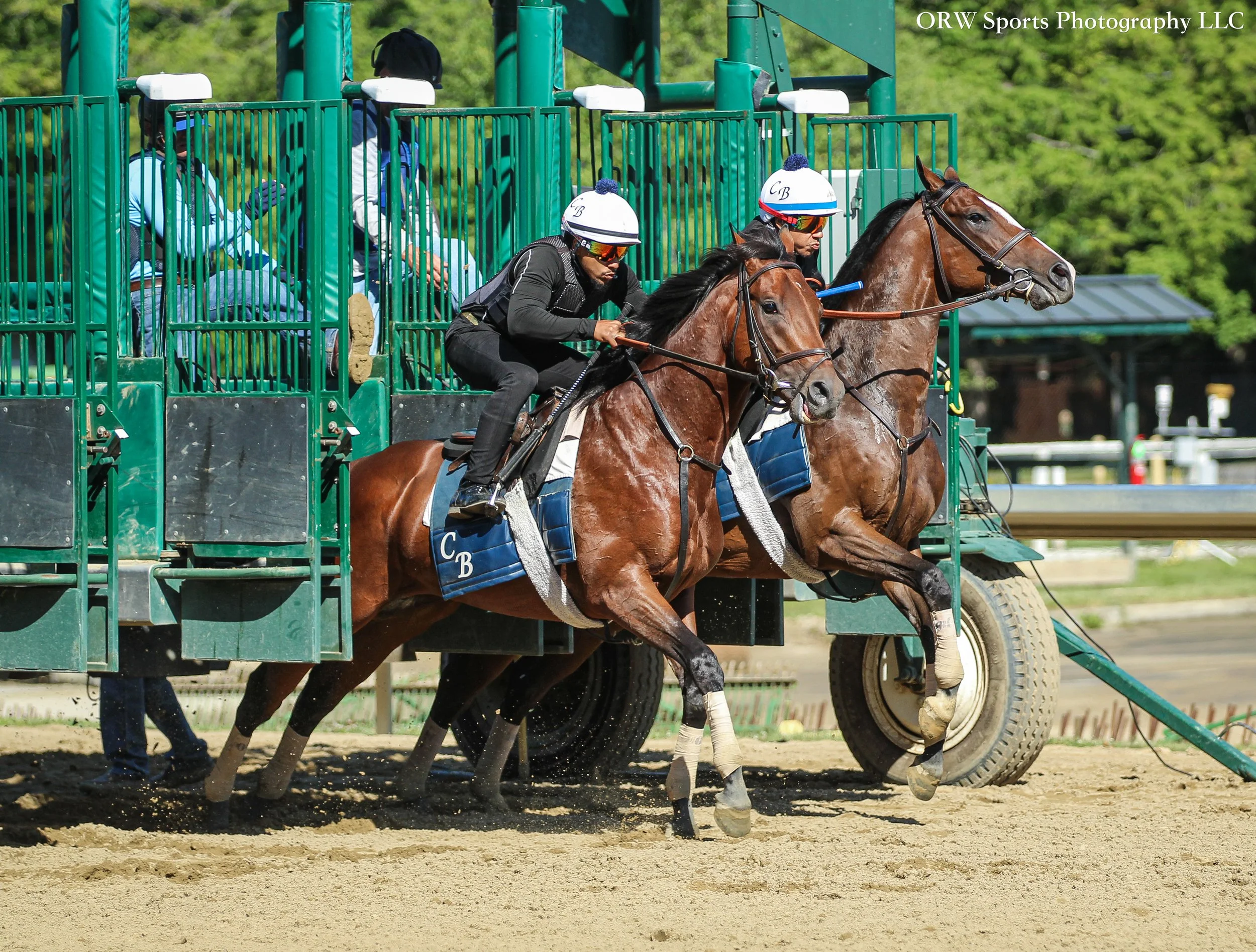 Chad Brown Trainees 