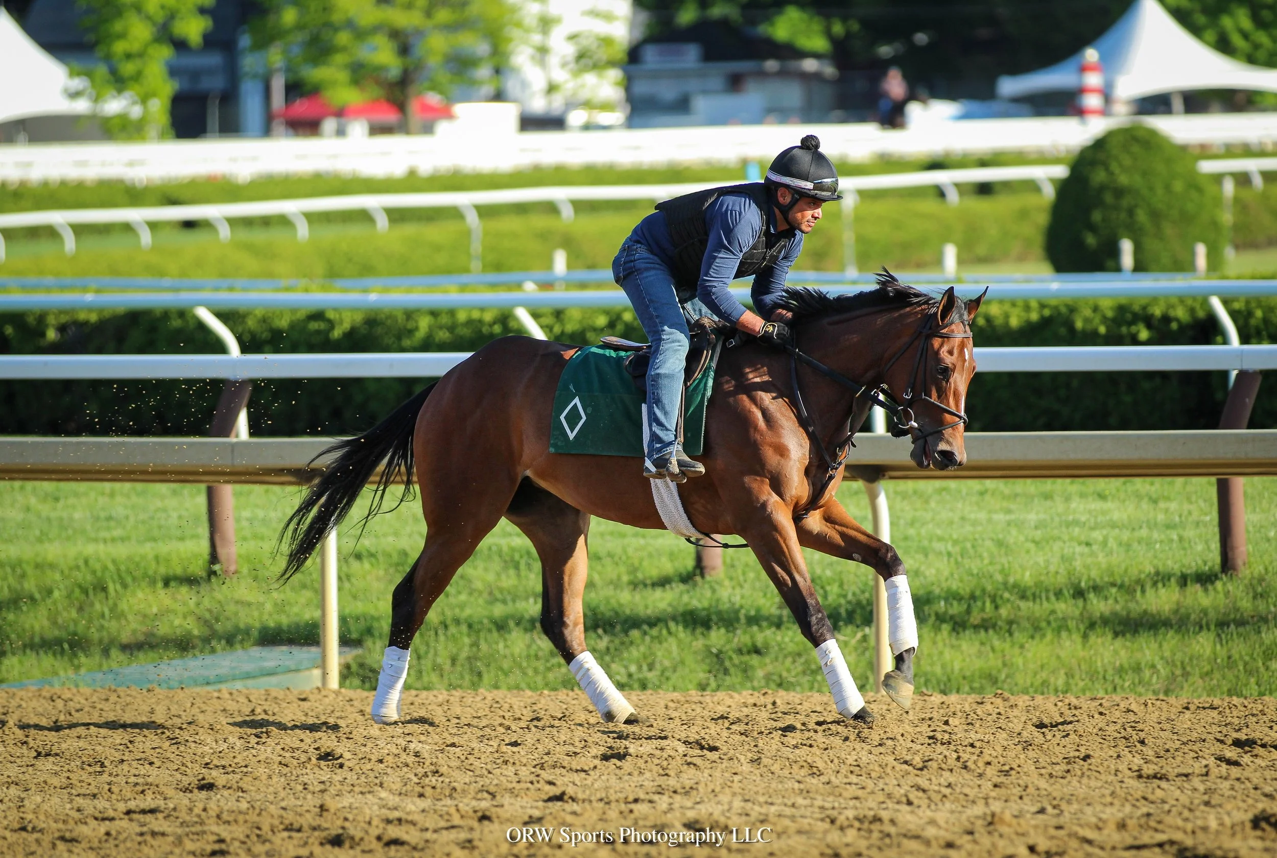 Bill Mott Trainee