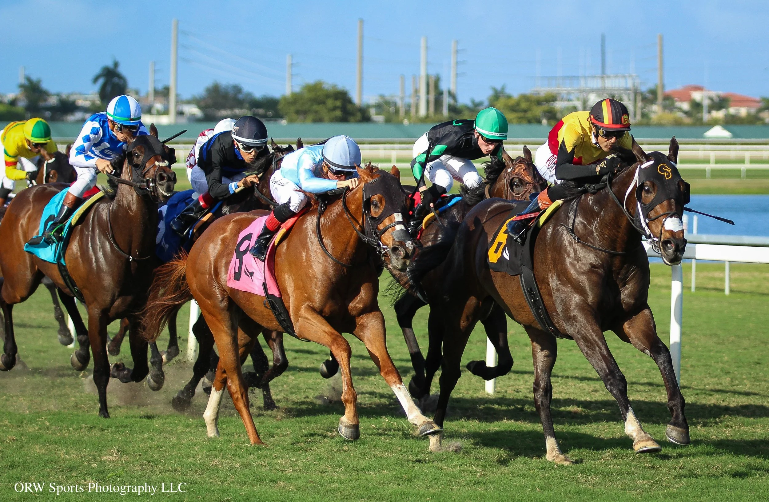 Boat's a Rockin' leads from challengers 