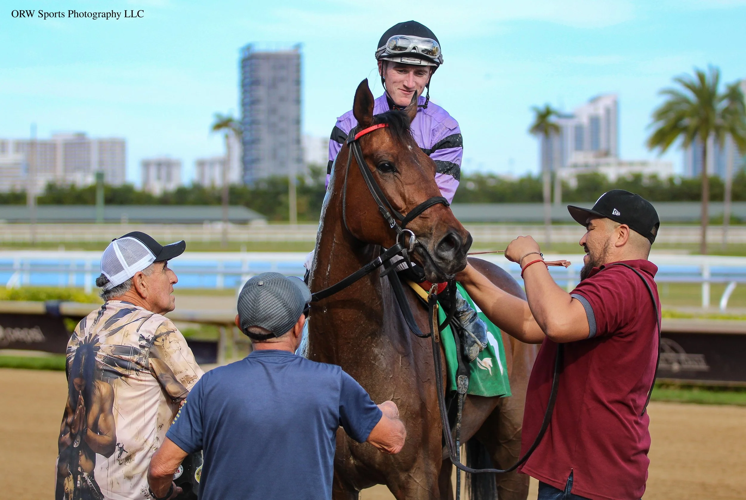 Pet Mat and Company.jpg