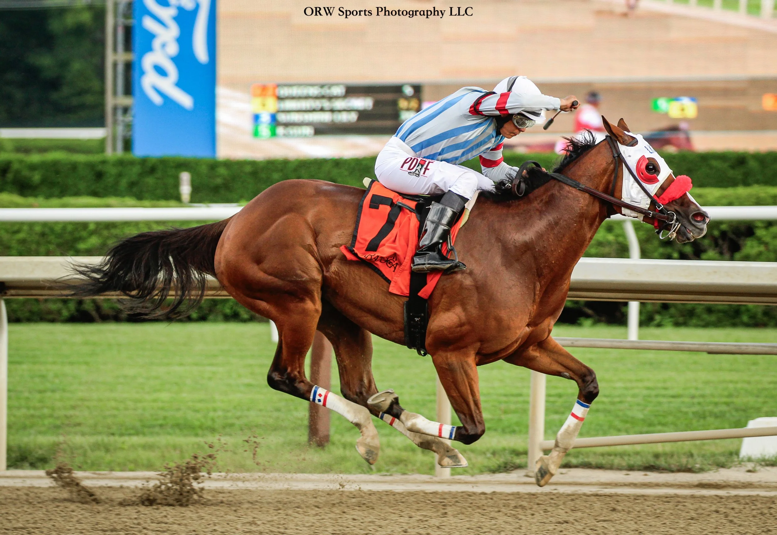Queen's Cat and Nazario Alvarado (3) .jpg