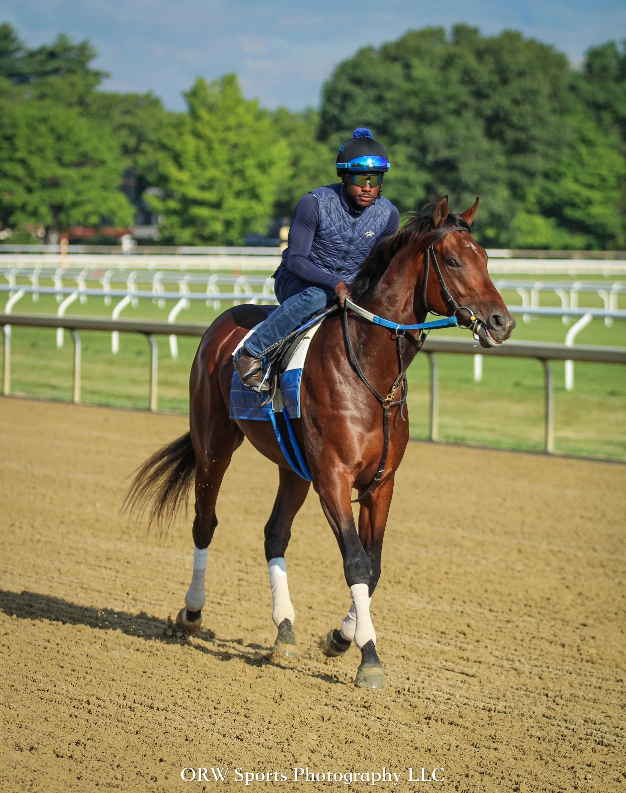 Steve Asmussen Trainees 