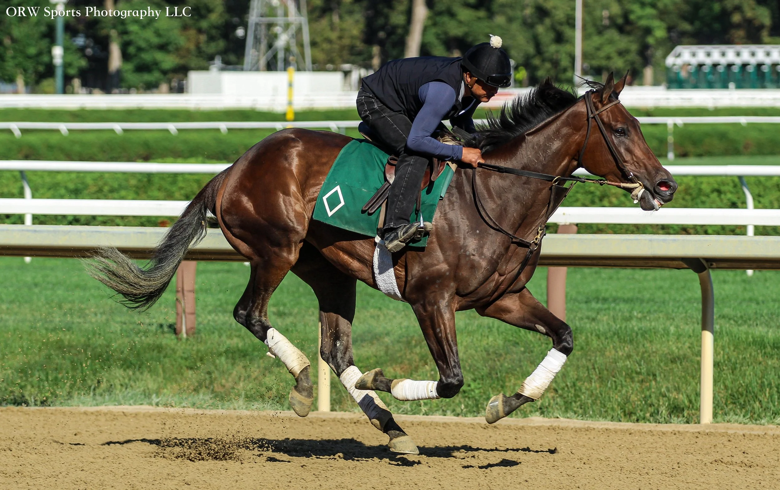 Bill Mott Trainee 