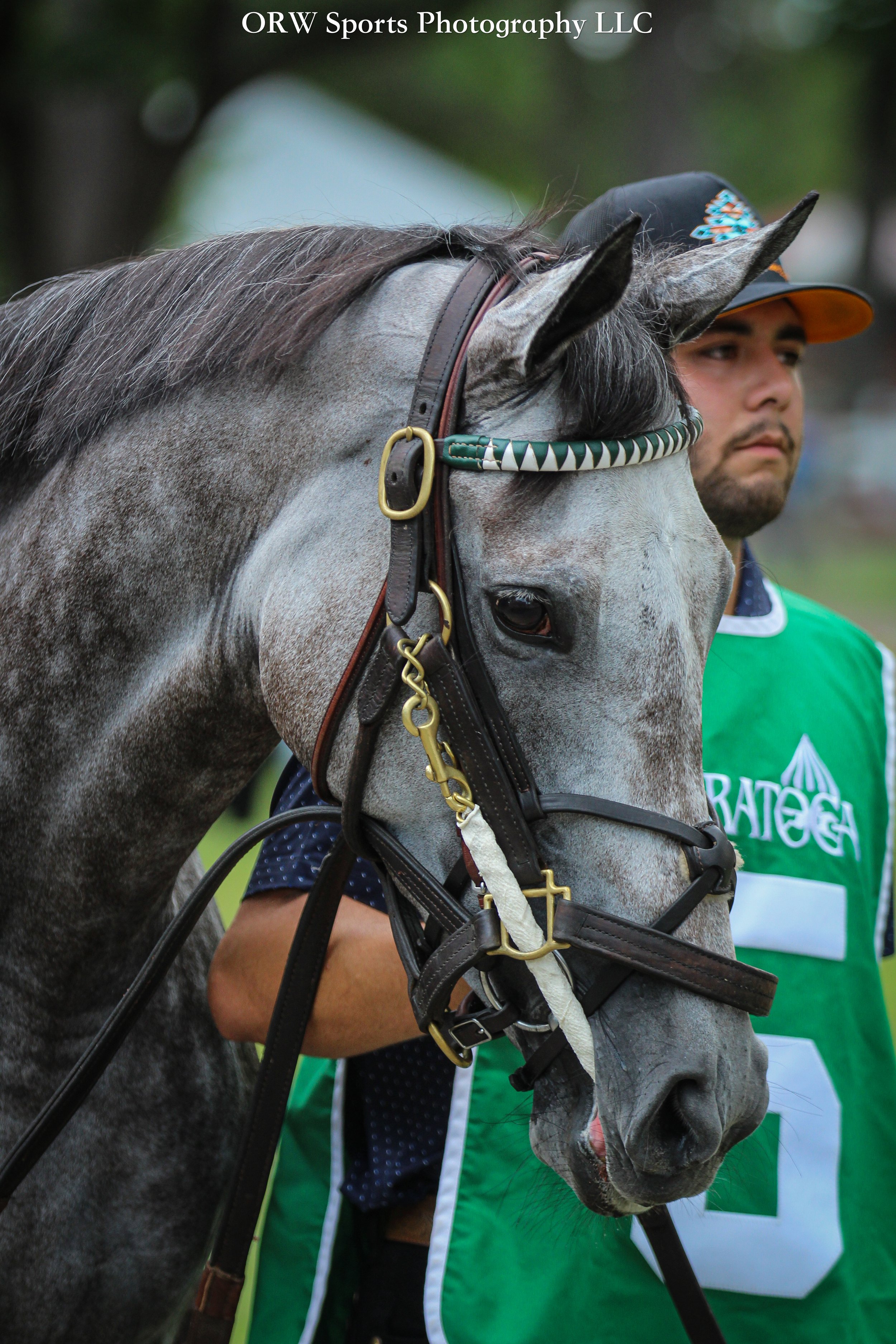 Opulent Restraint (2) .jpg
