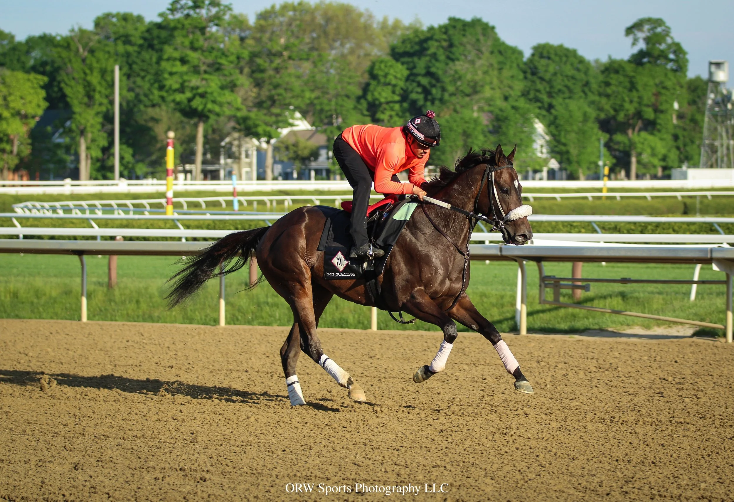 Olivia's Grace and Joseph Santiago. She is expected to make her next start on June 3rd during the Belmont meet at Saratoga.