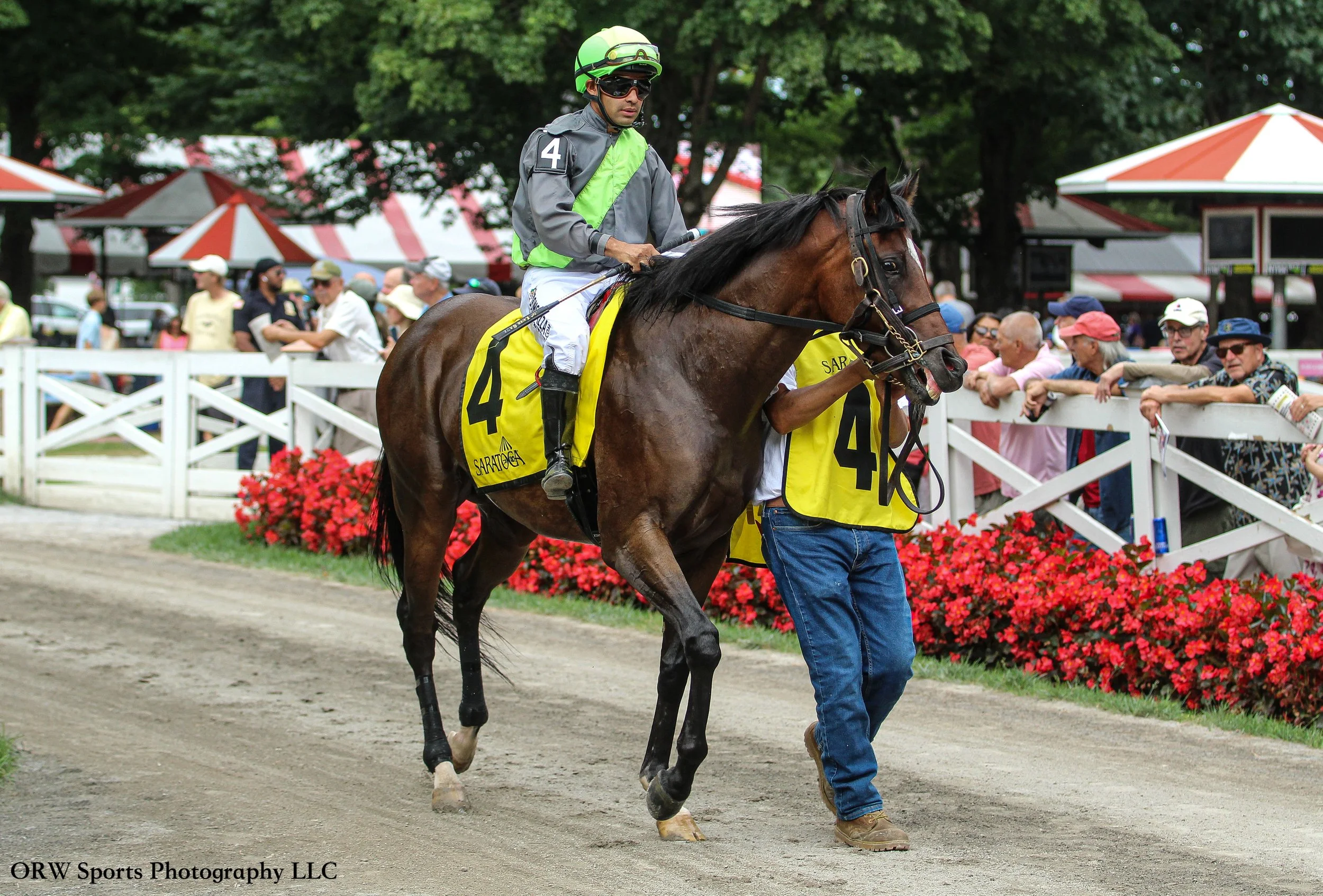 Strobe Light and Luis Saez 