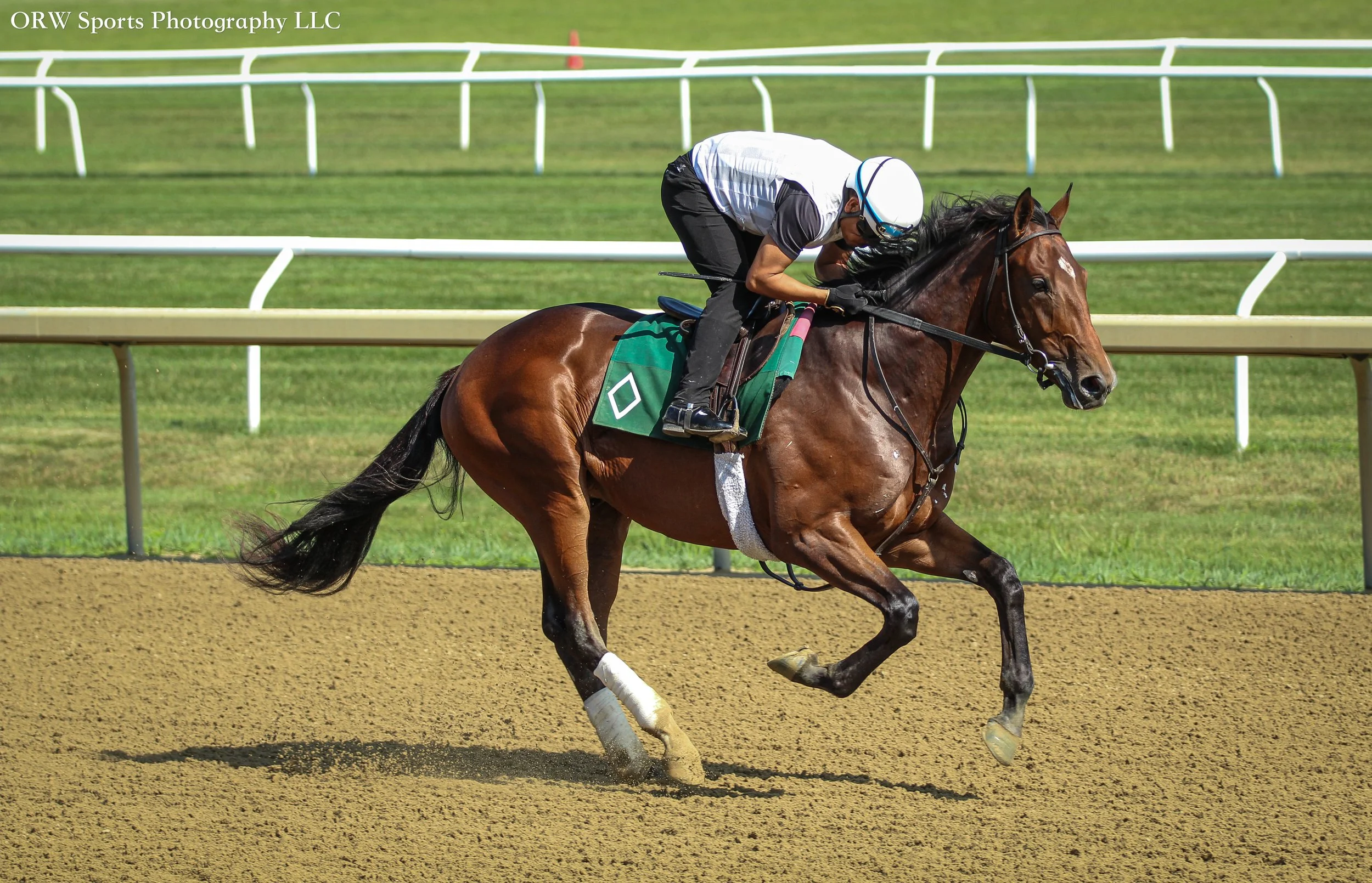 Bill Mott Trainee