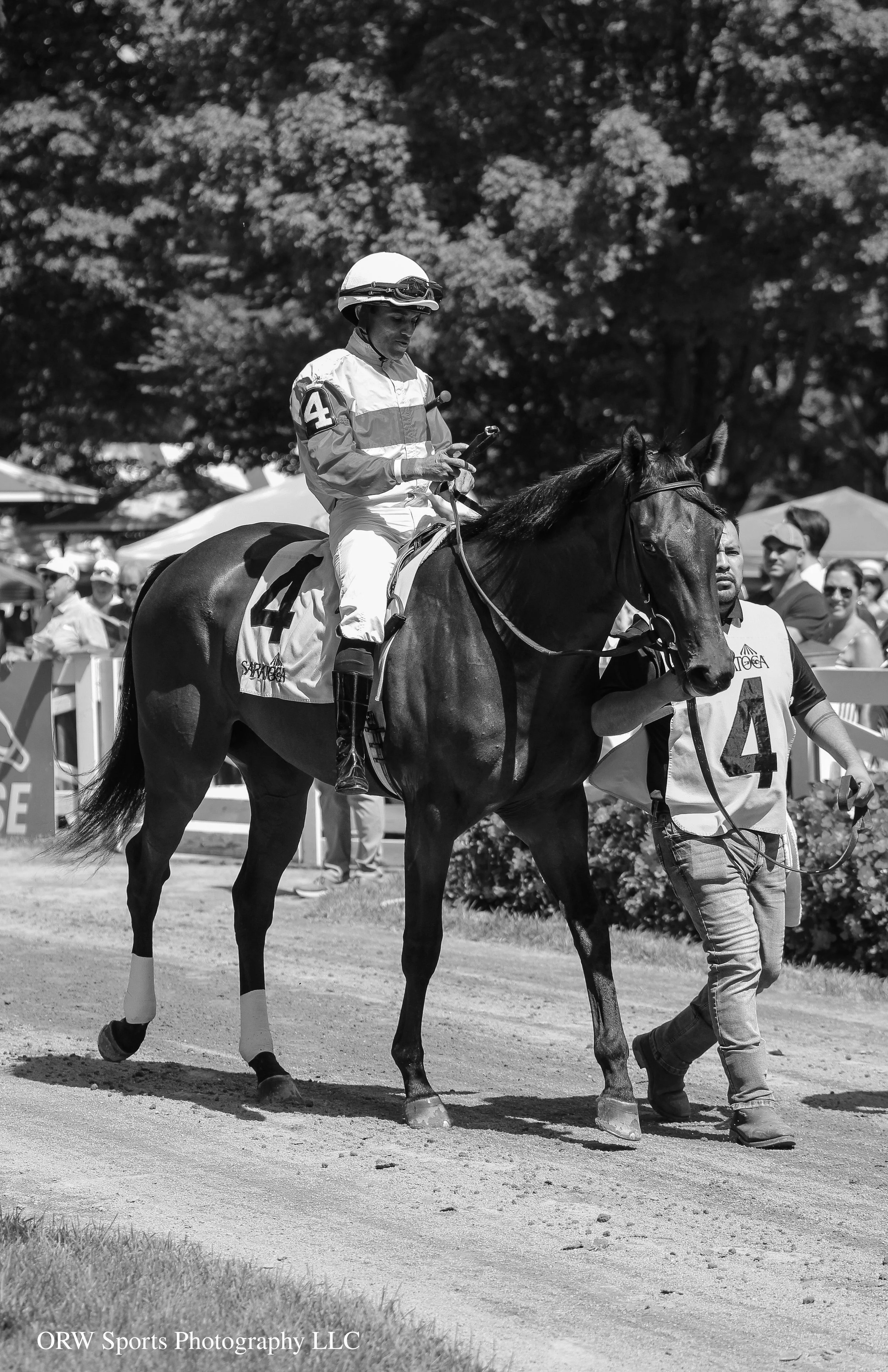 Five Bars (BW) (1).jpg