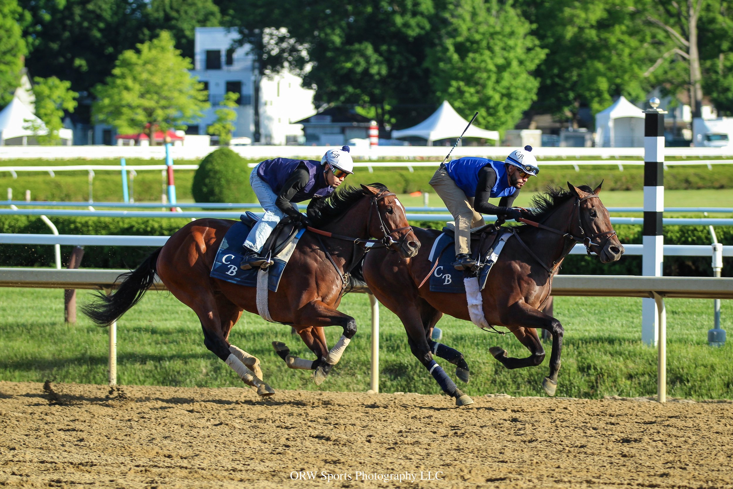 Chad Brown Trainees 