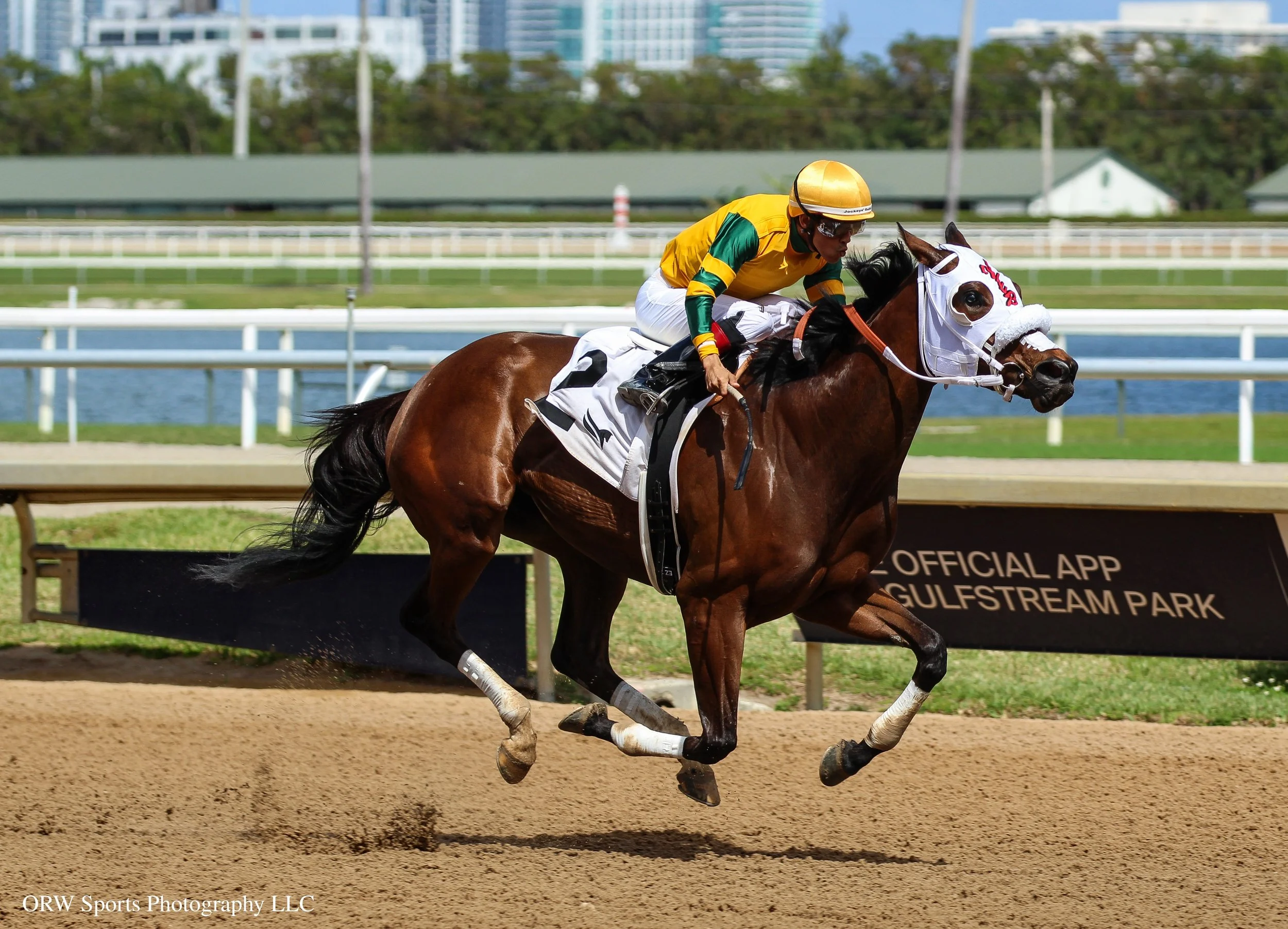 Vuela Paloma and Edgard Zayas