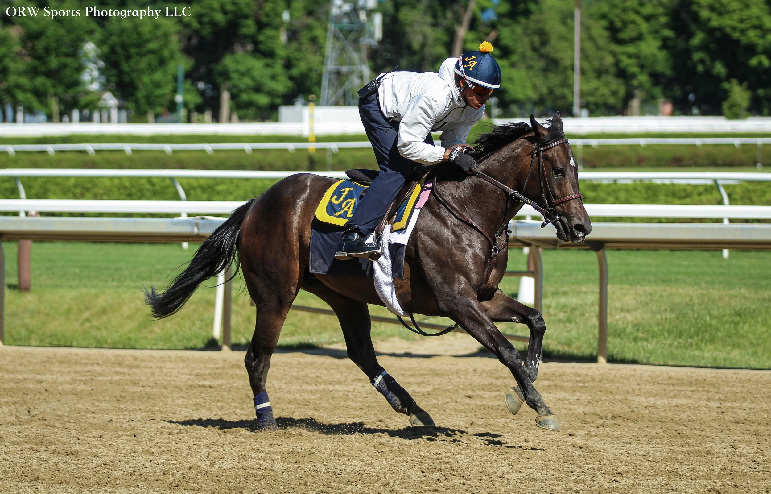Jorge Abreu Trainee 
