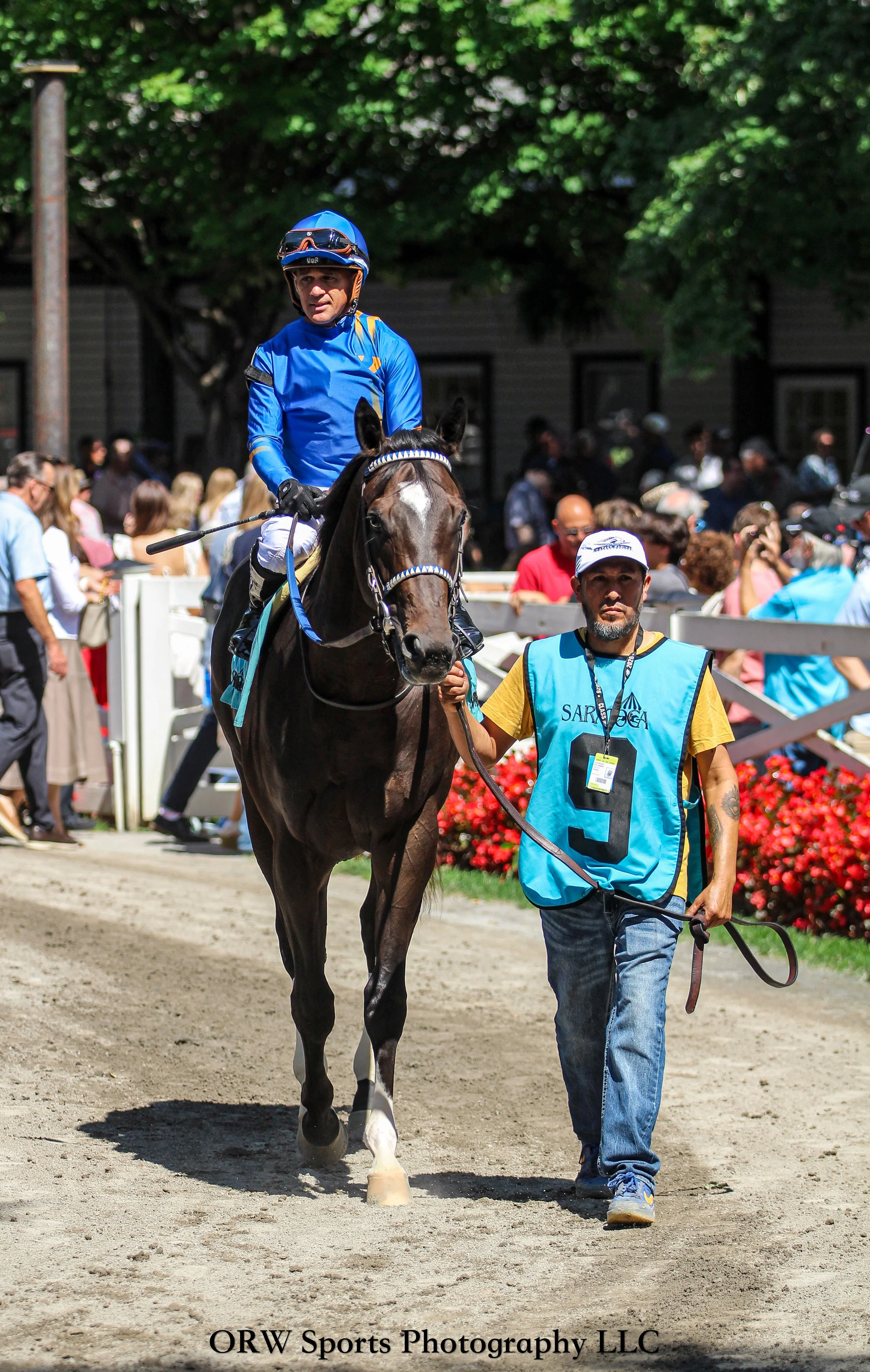 No Time to Lose and Javier Castellano 