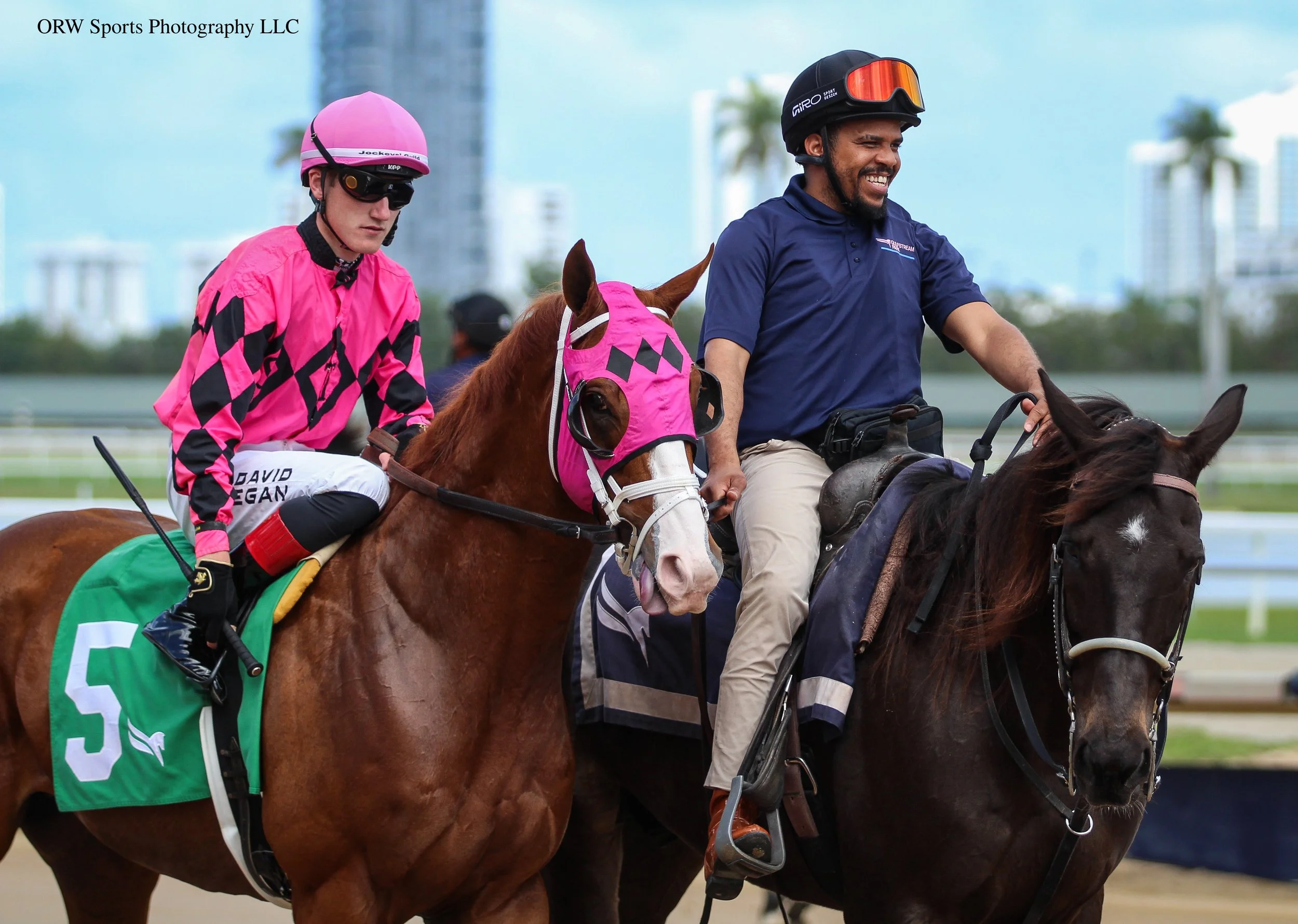 David's Kitten and David Egan 