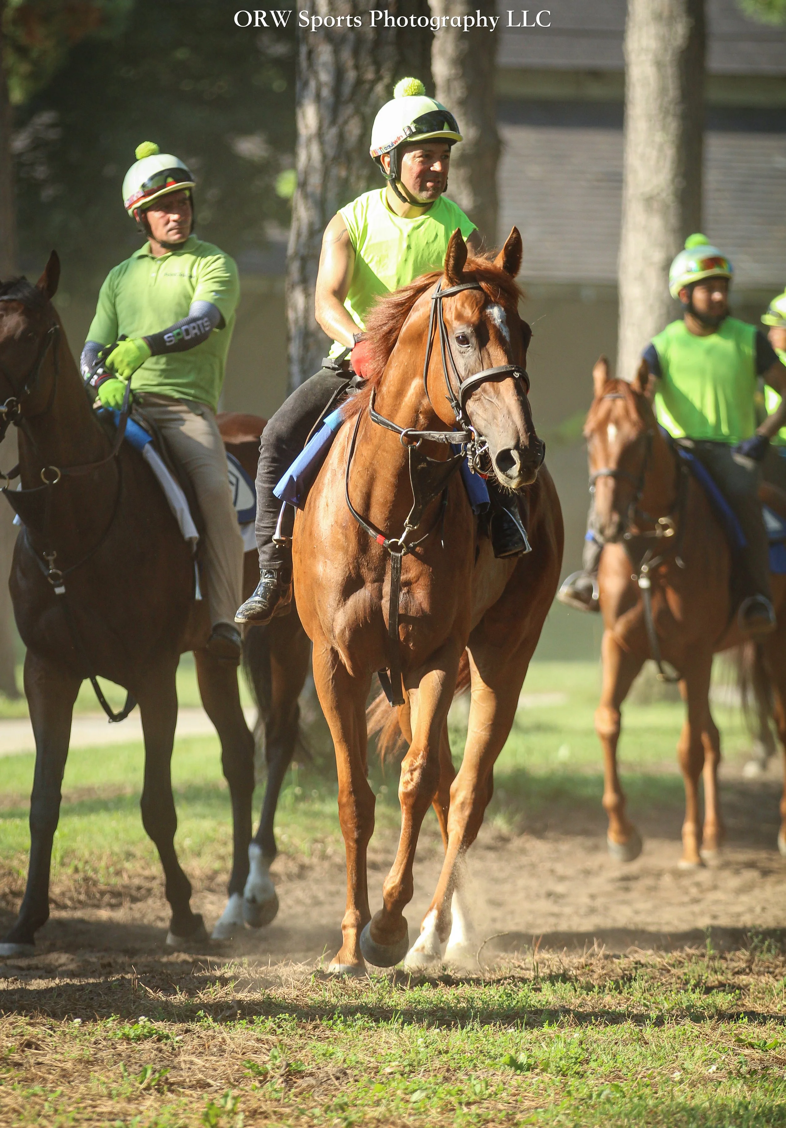 Music in Motion. He will be running in race 2 on July 5th. 